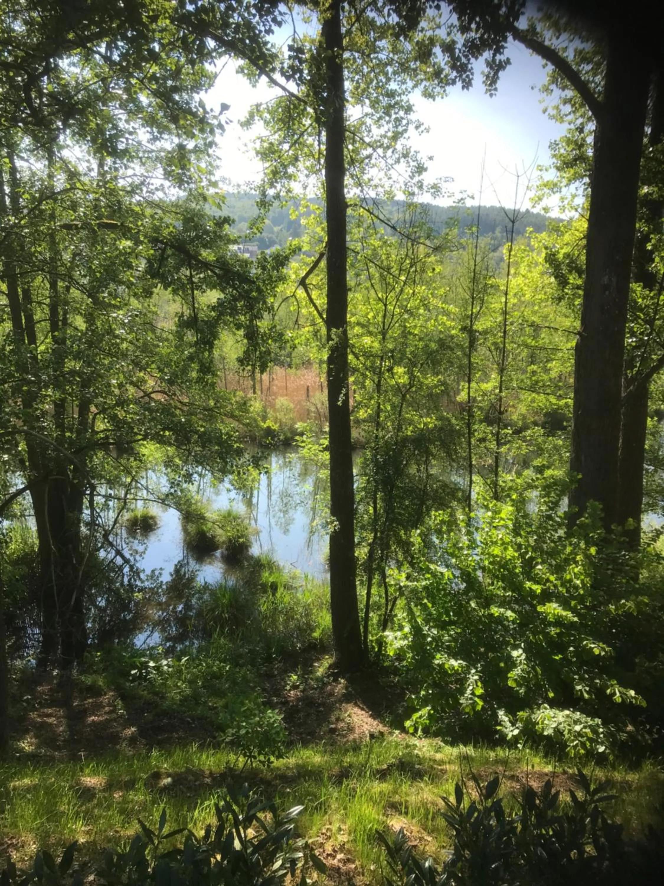 Lake view in Hotel Dufays