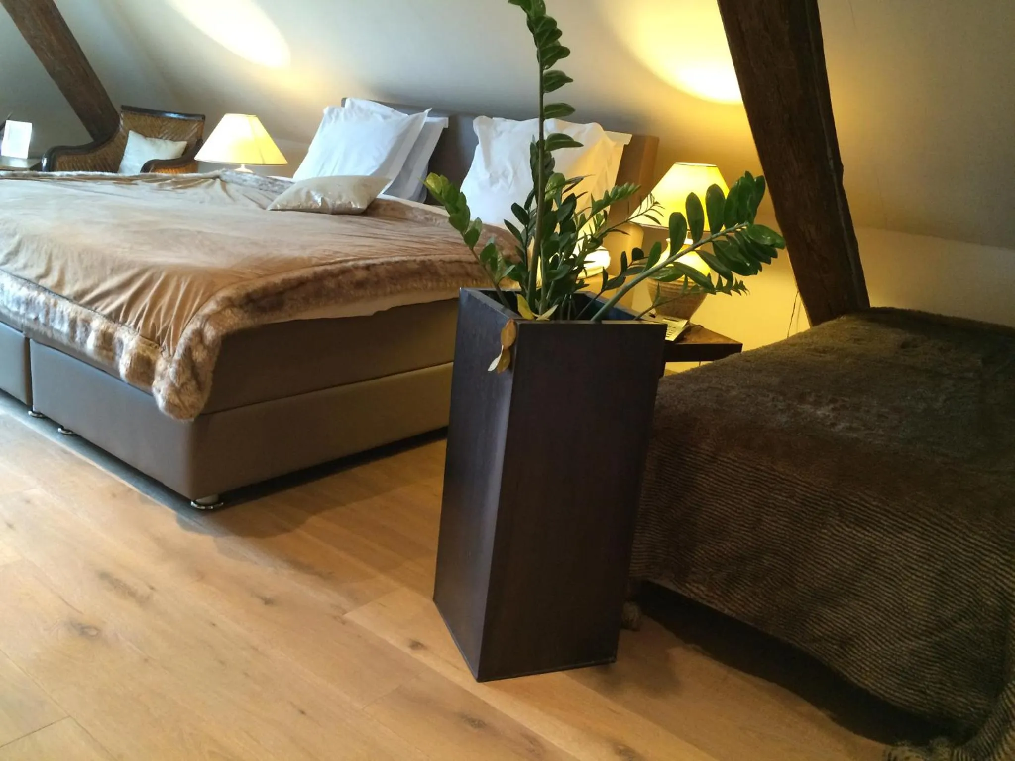 Photo of the whole room in Hotel Dufays