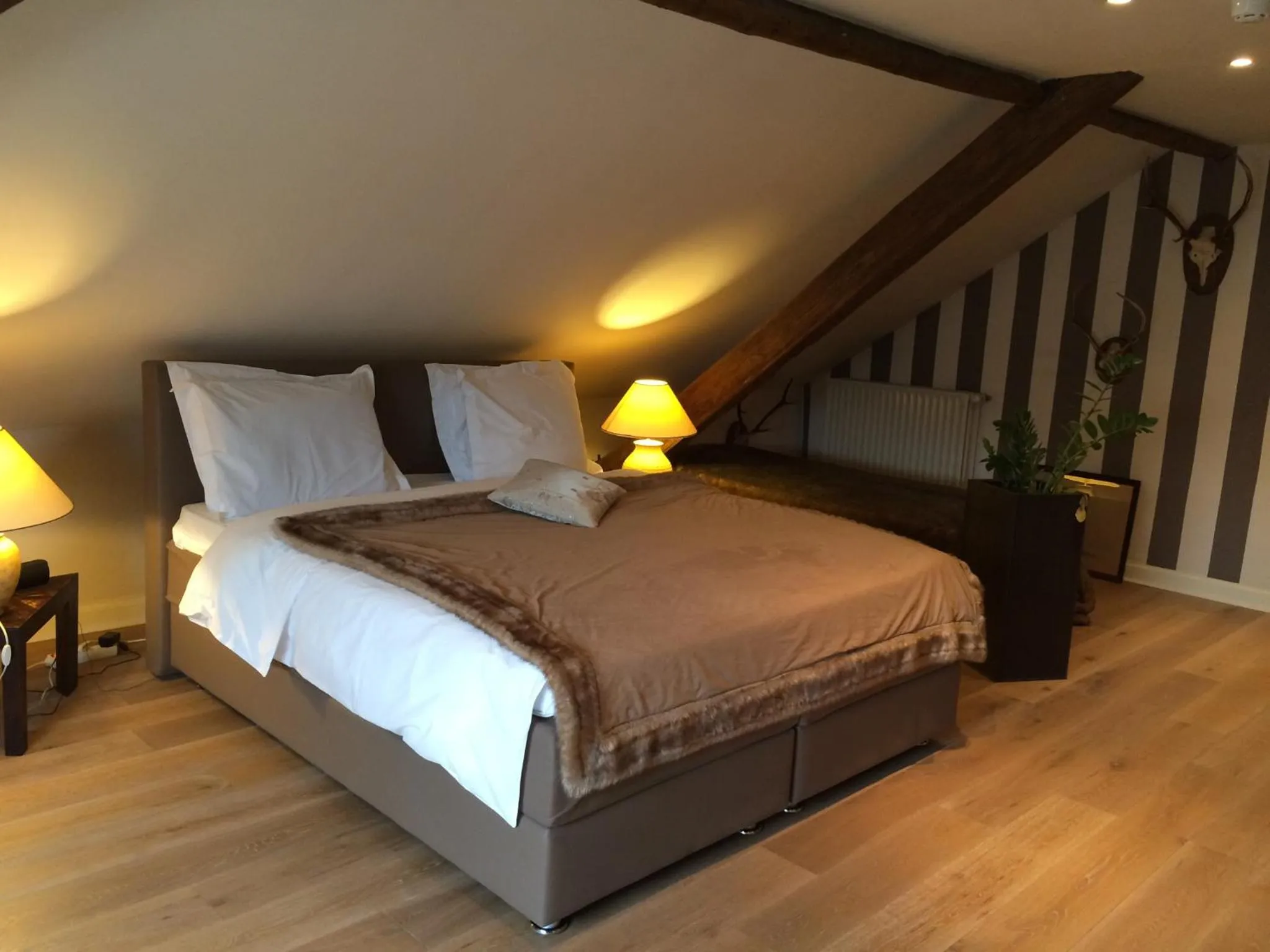 Decorative detail in Hotel Dufays