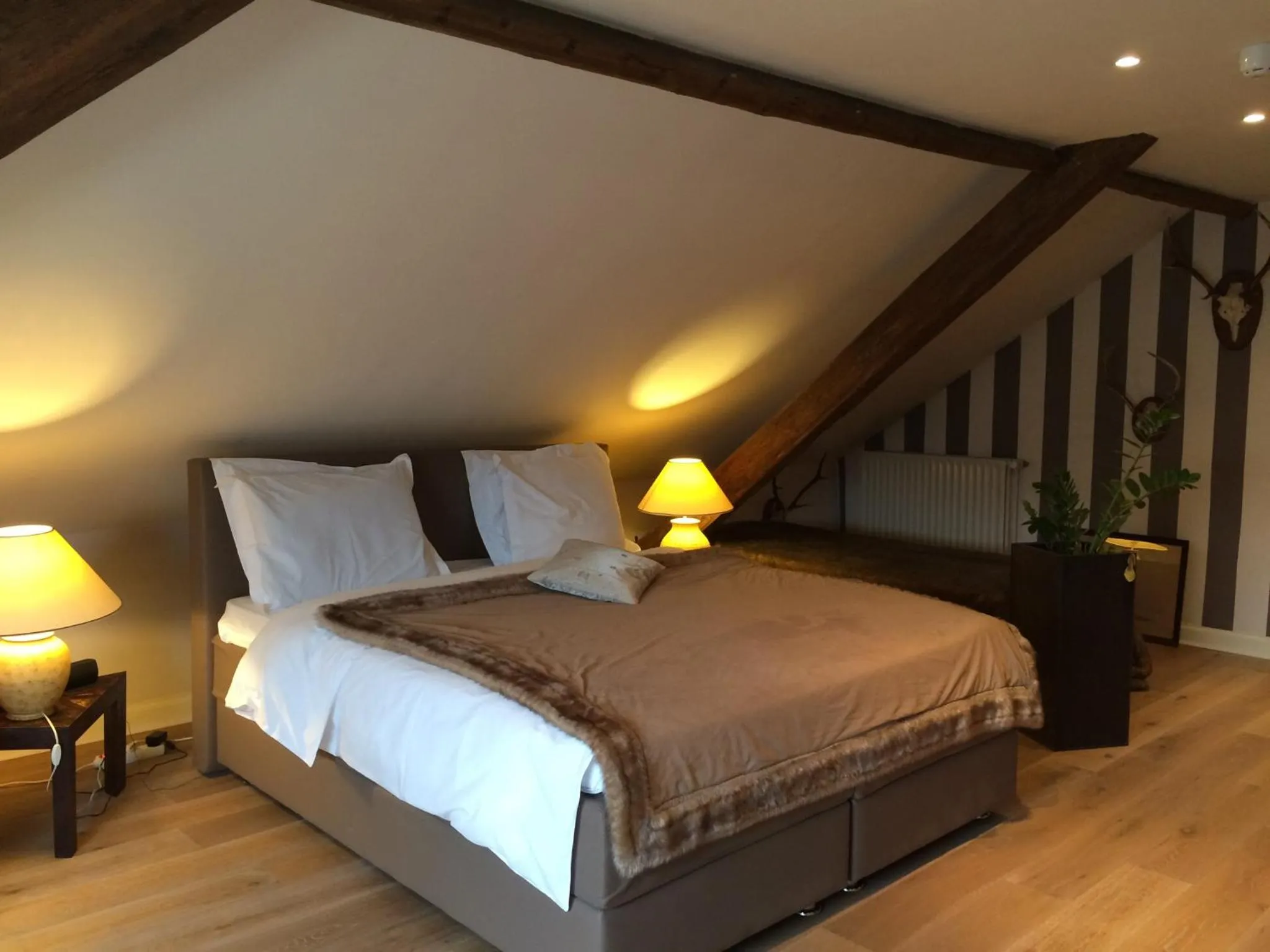 Photo of the whole room in Hotel Dufays