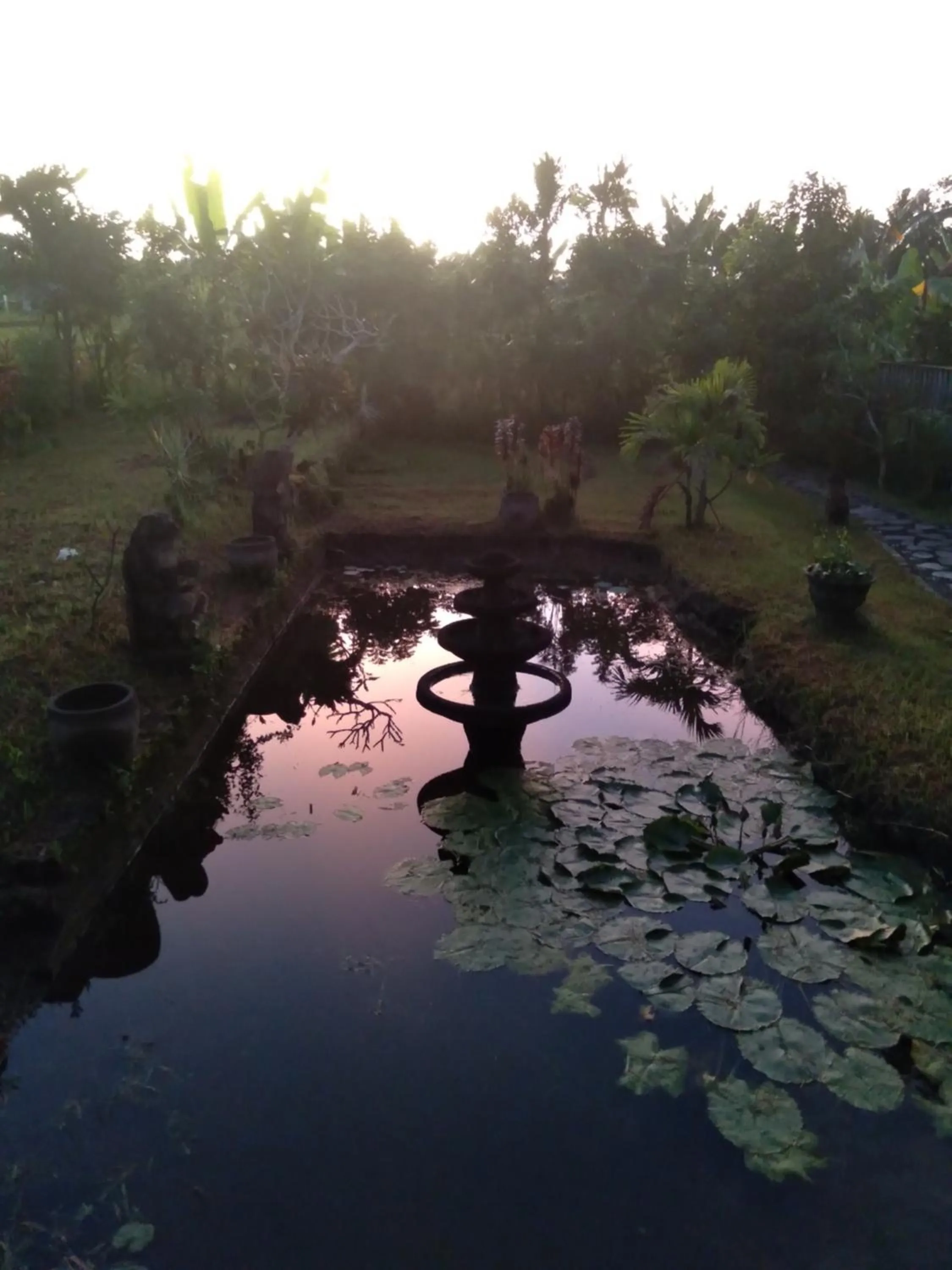 Natural landscape in Taman Bintang Villa Ubud