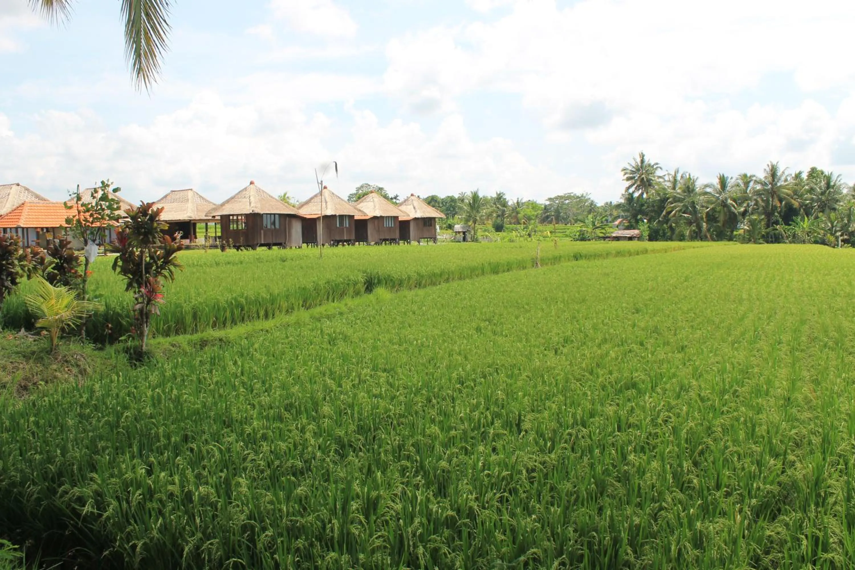 Property building in Taman Bintang Villa Ubud