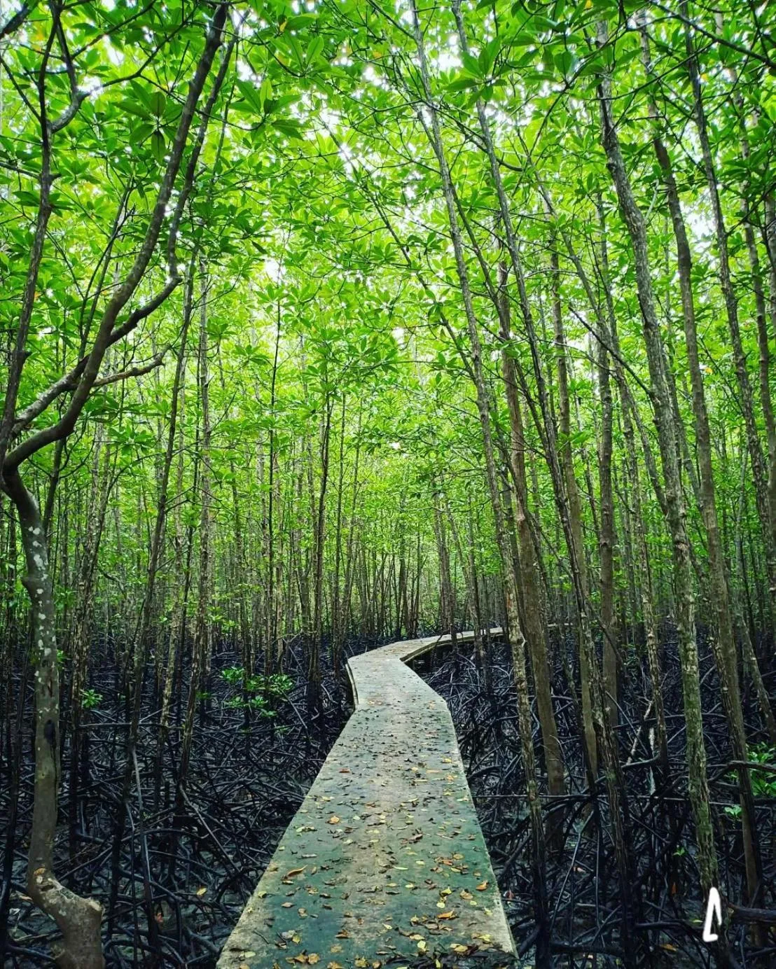 Nearby landmark in Calm at Bangphat