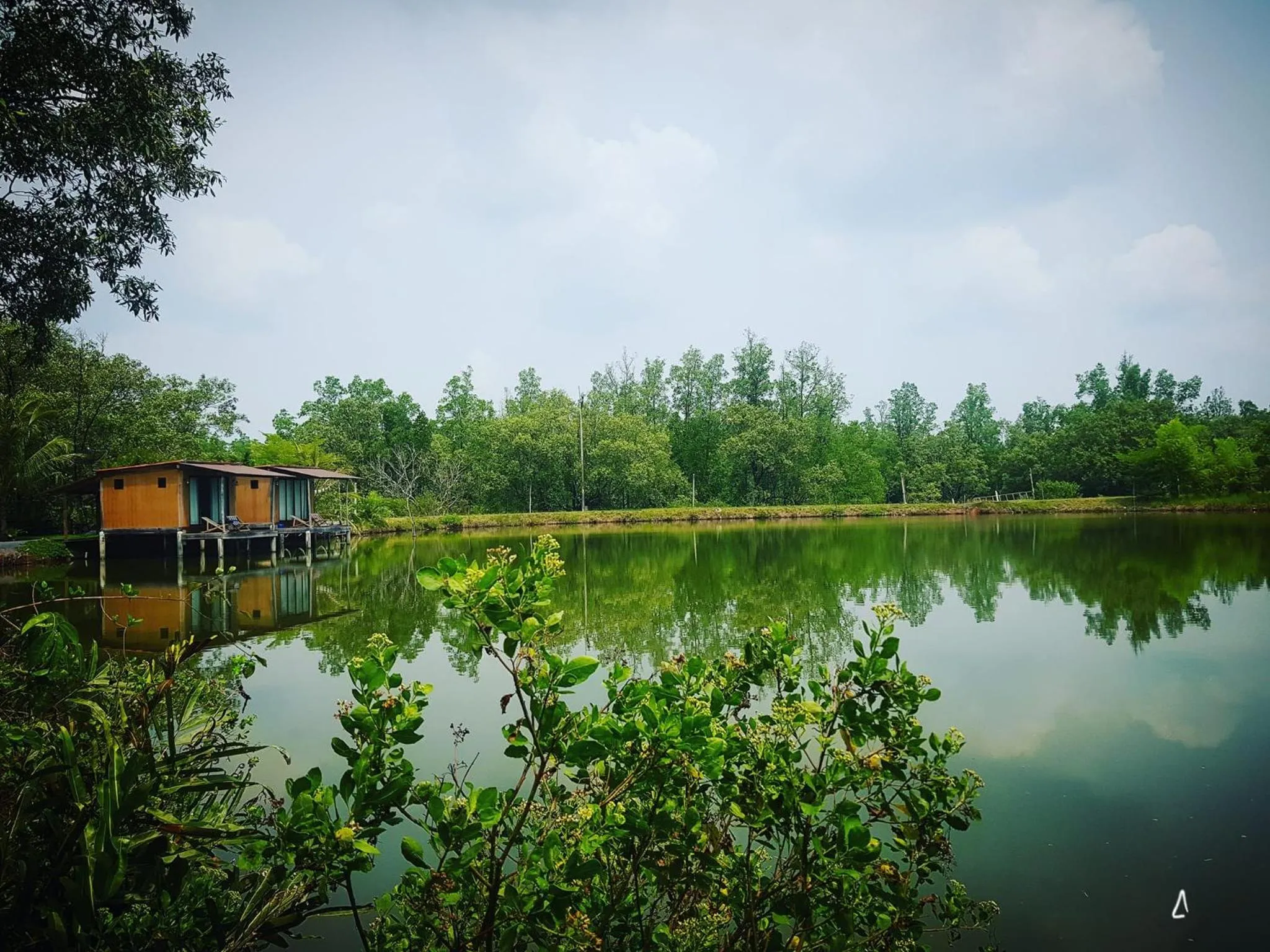 Natural landscape in Calm at Bangphat