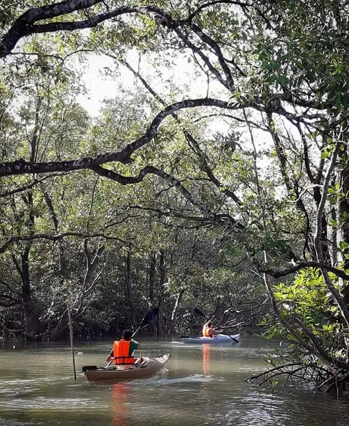 Canoeing in Calm at Bangphat