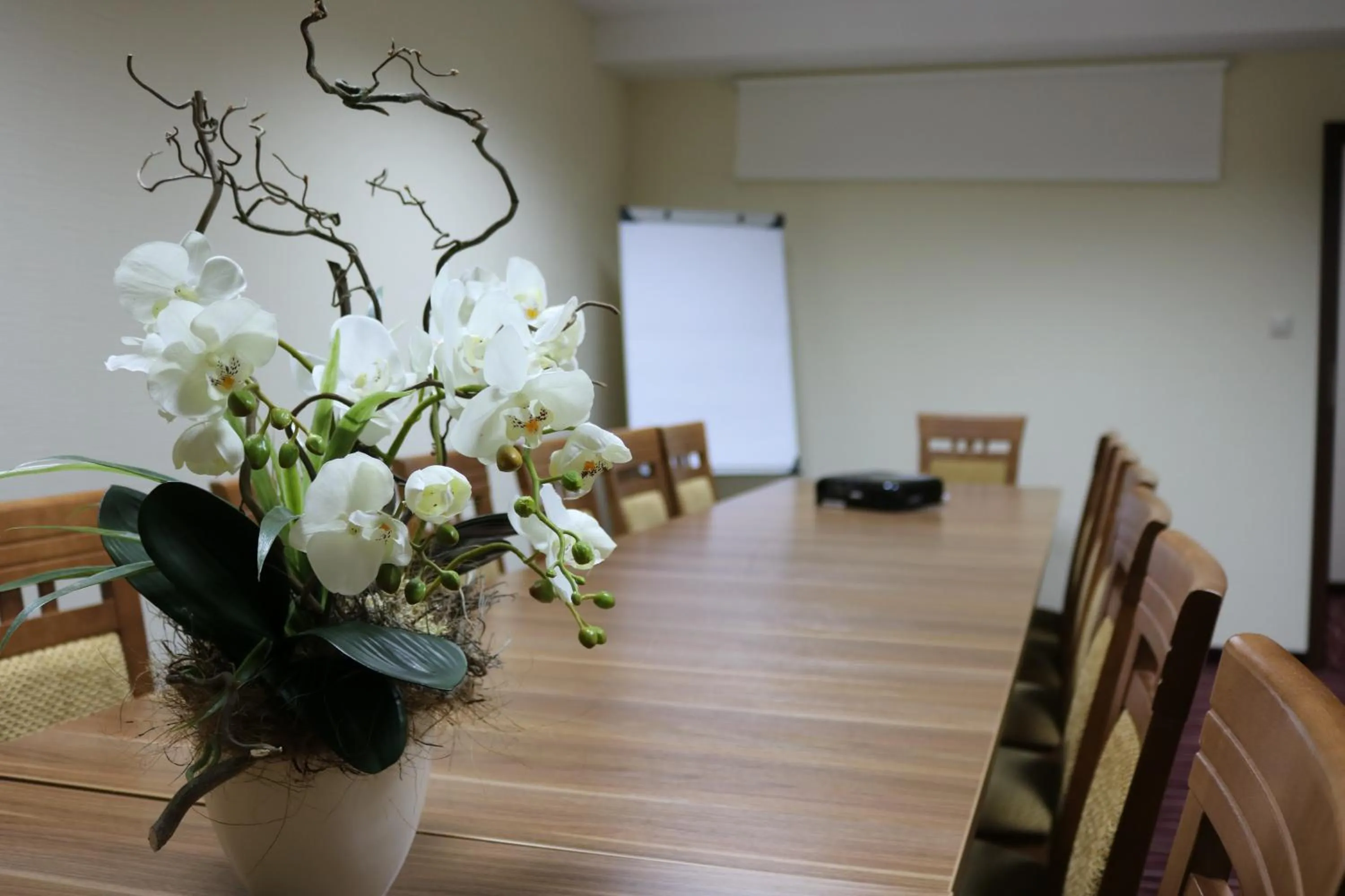 Business facilities in Hotel DYMINY