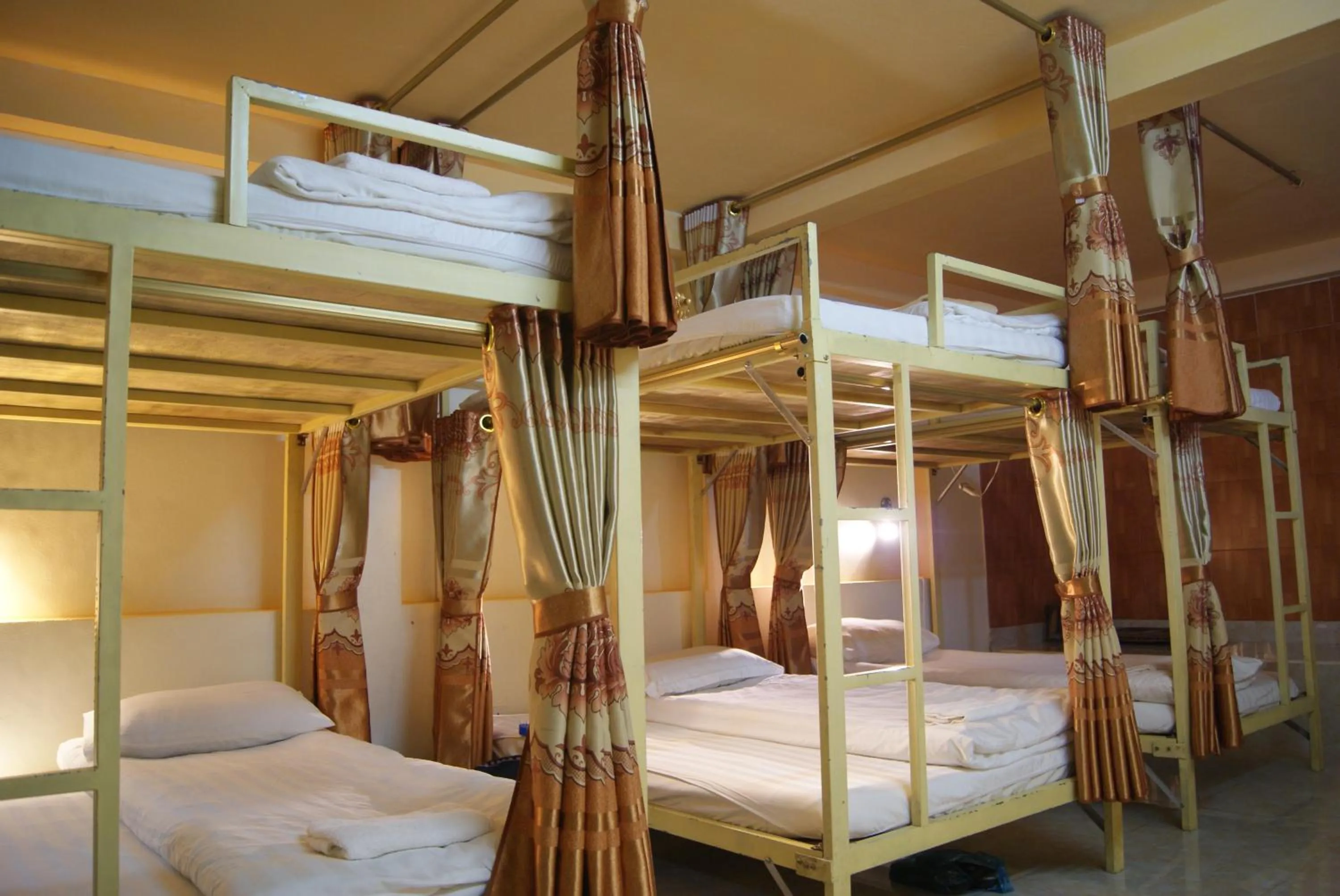 bunk bed, Bed in Venus Sapa Hostel