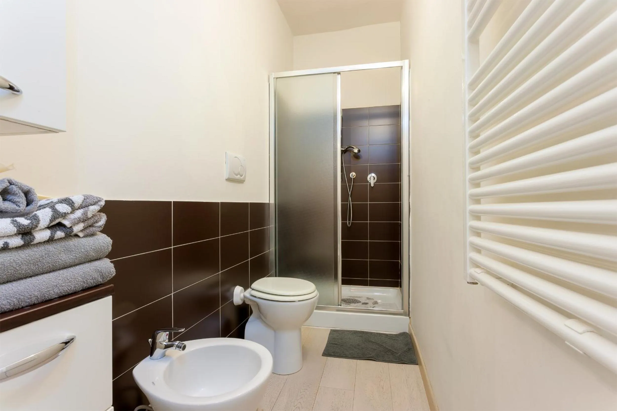 Shower in Aurora Suite