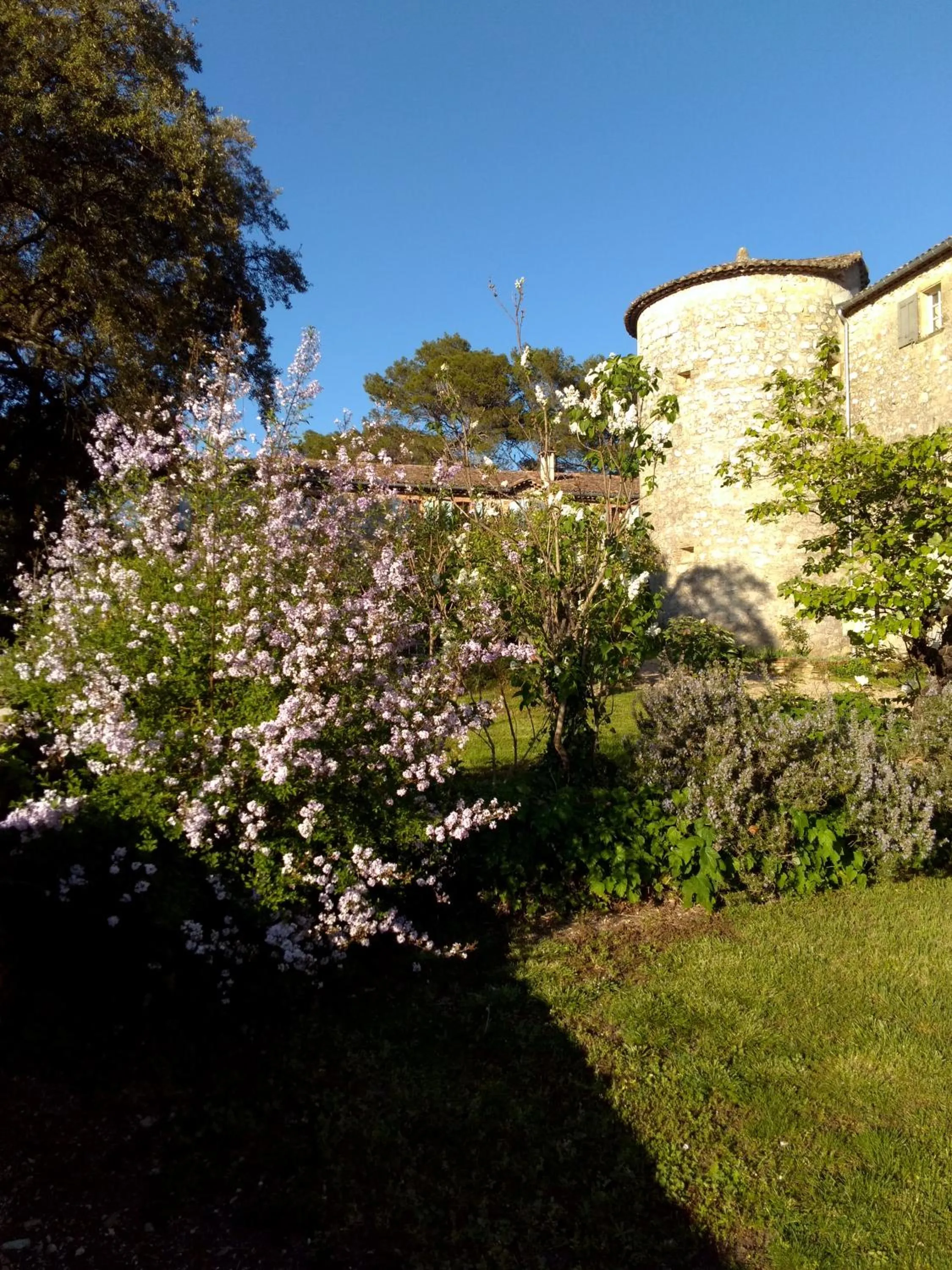 Garden view in Château de Rousson