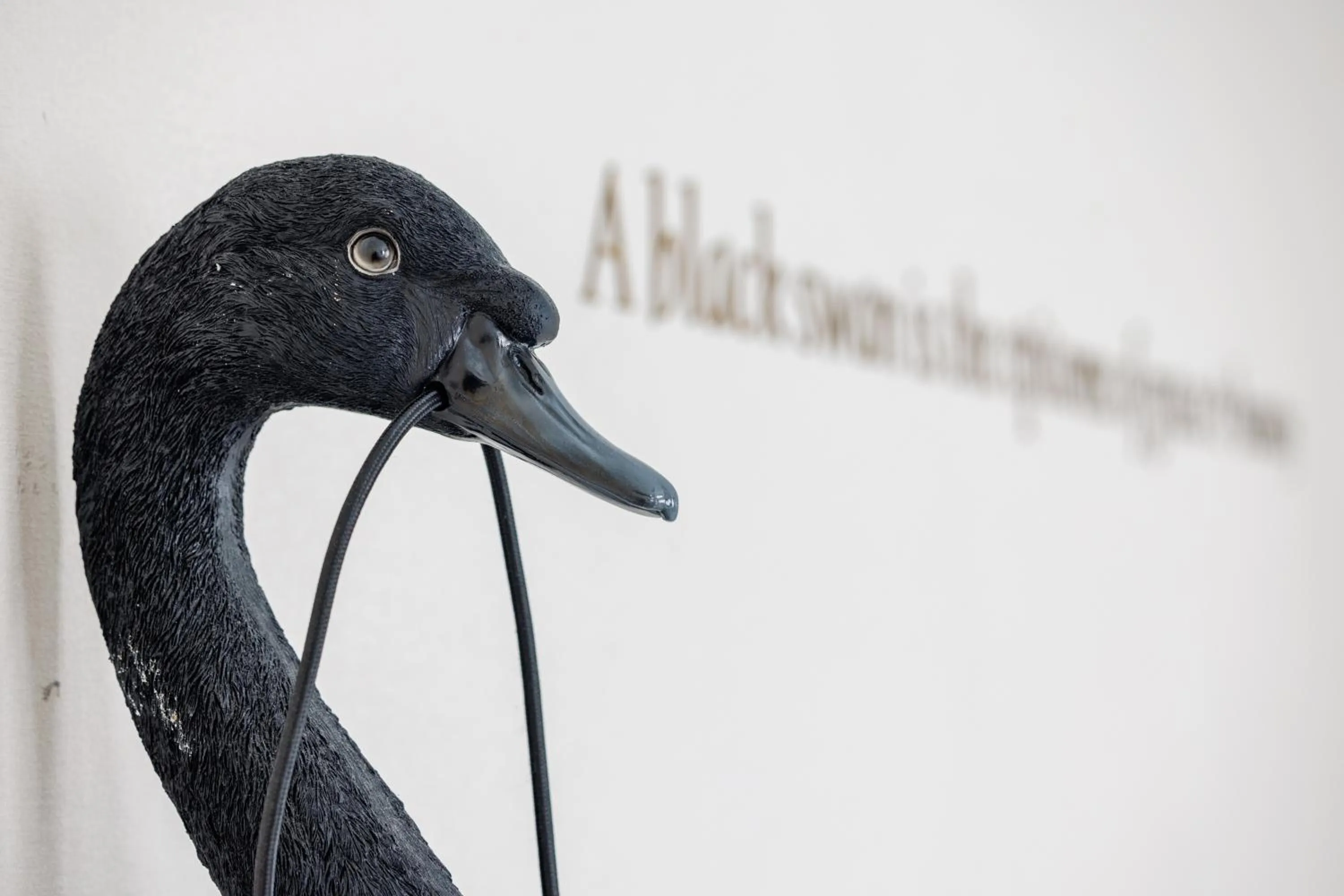 The Black Swan Hotel