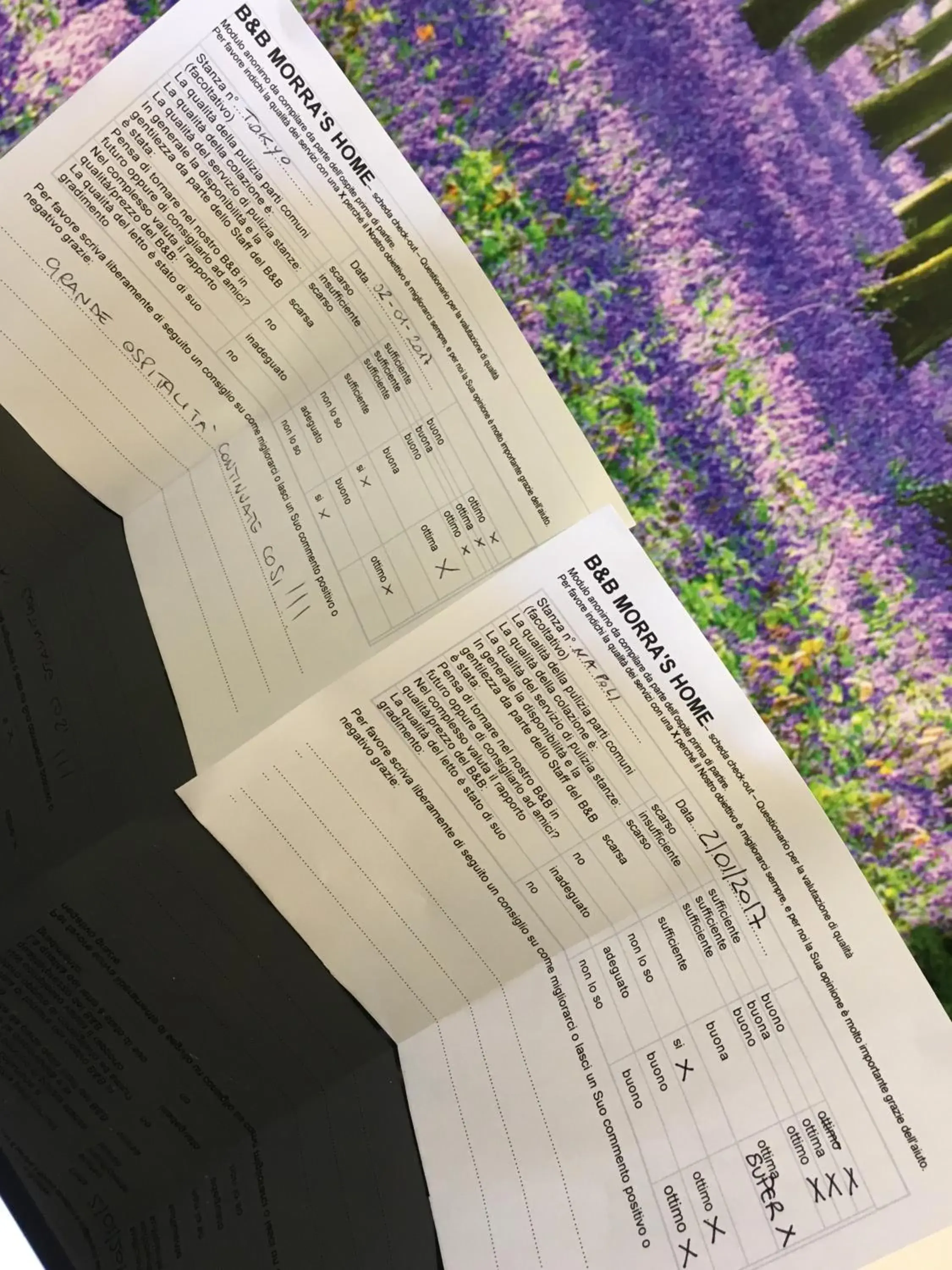 Morra's Home Morra's Home