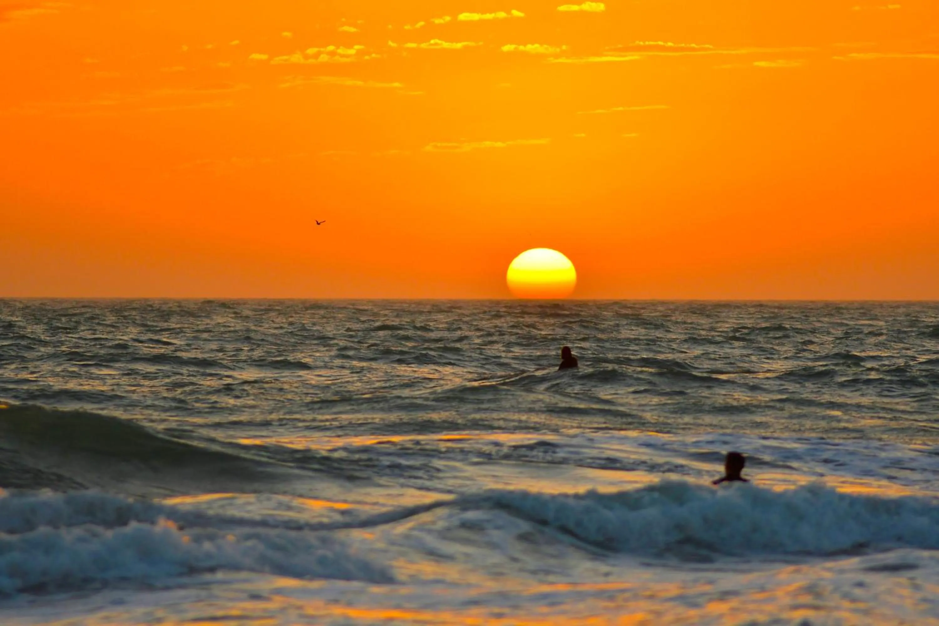 Property building in Anna Maria Island Beach Palms 7A