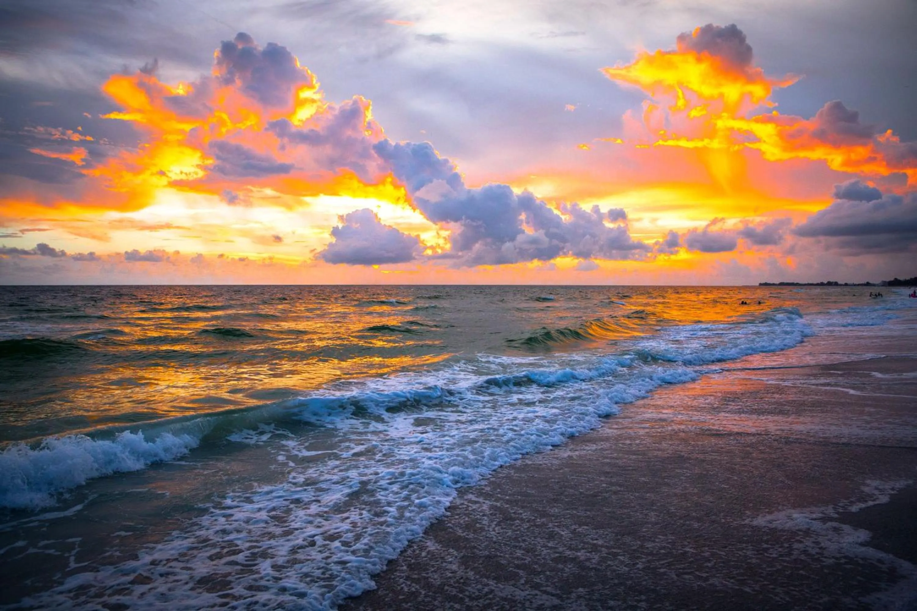 Property building in Anna Maria Island Beach Palms 7A