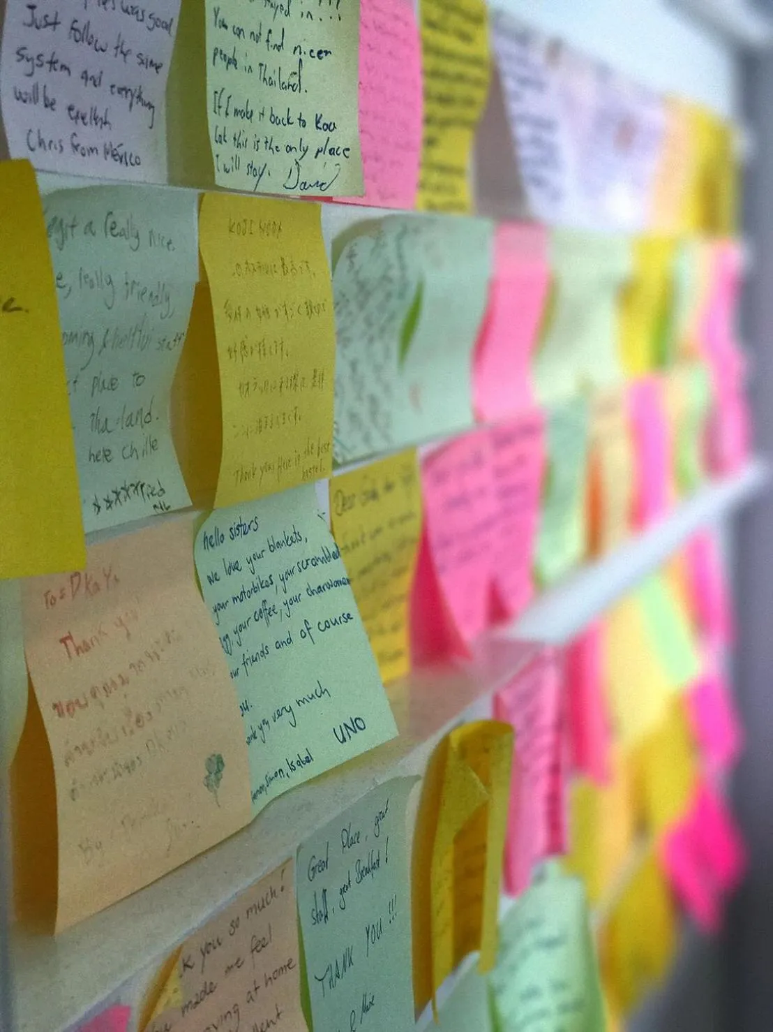 Certificate/Award in DKaYa Hostel