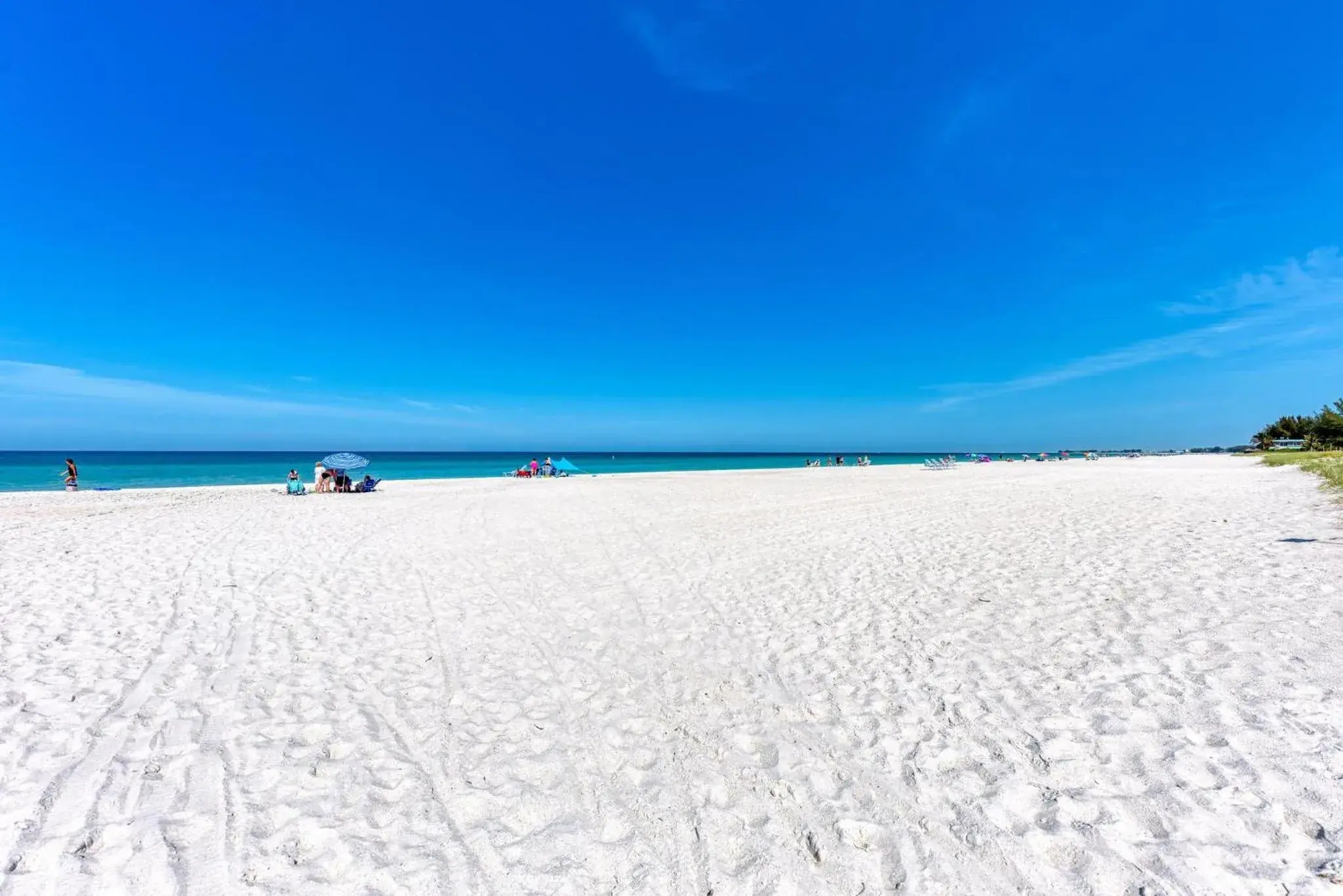 Anna Maria Island Beach Palms 6B Anna Maria Island Beach Palms 6B