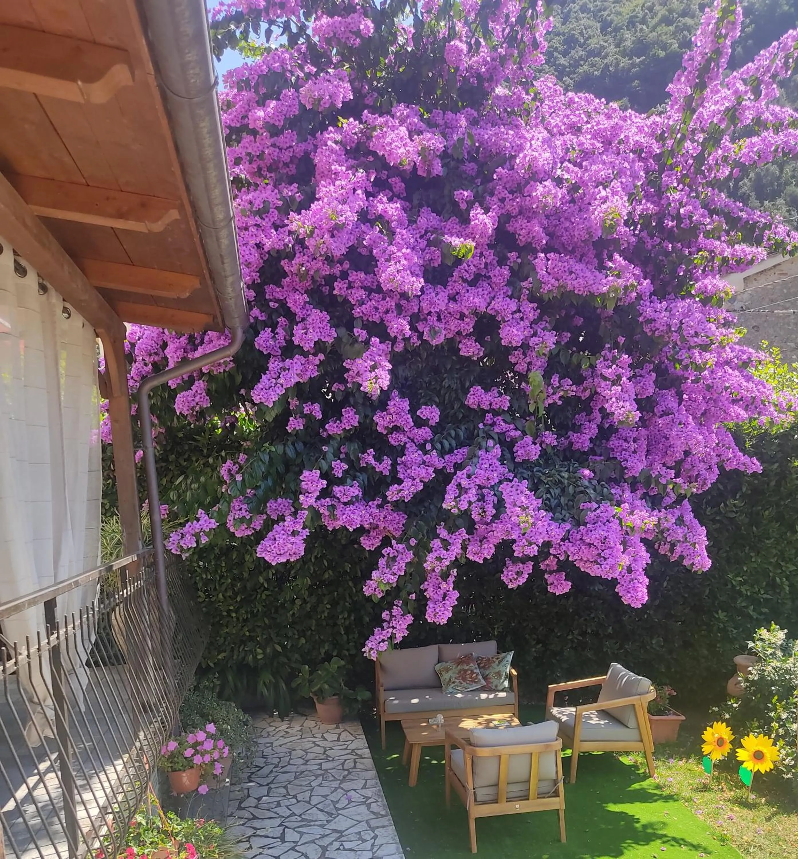 La Bouganville e Il Gelsomino