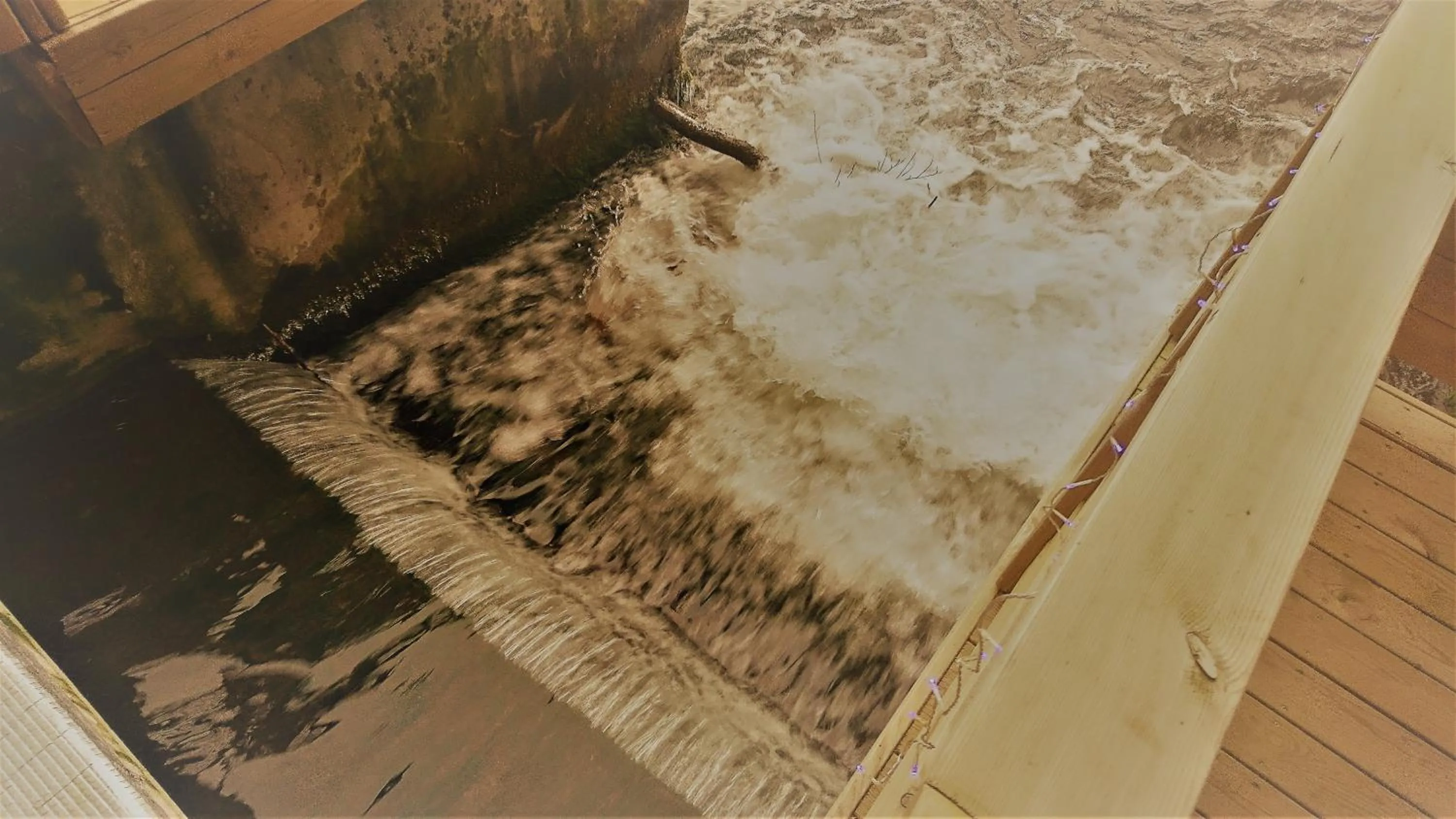 Natural landscape in Le Moulin d'Oscar & Spa - Mulhouse Nord