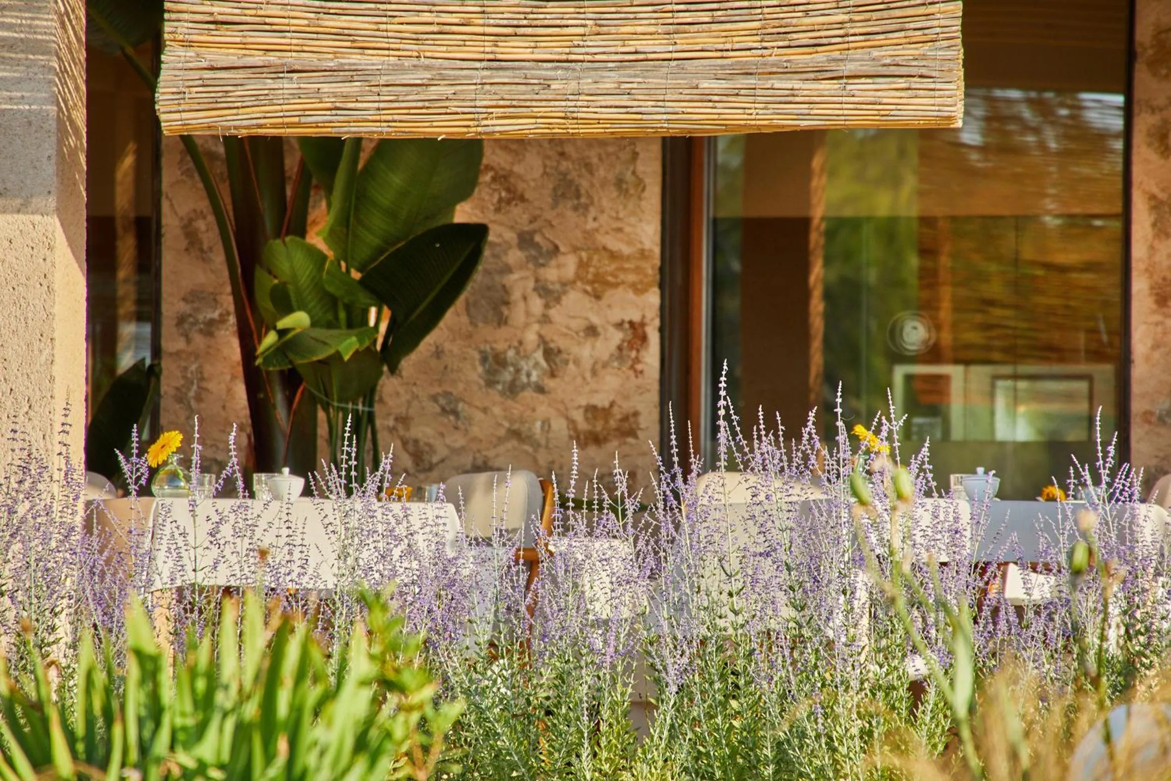 Restaurant/places to eat in Pleta de Mar, Grand Luxury Hotel by Nature - Adults Only