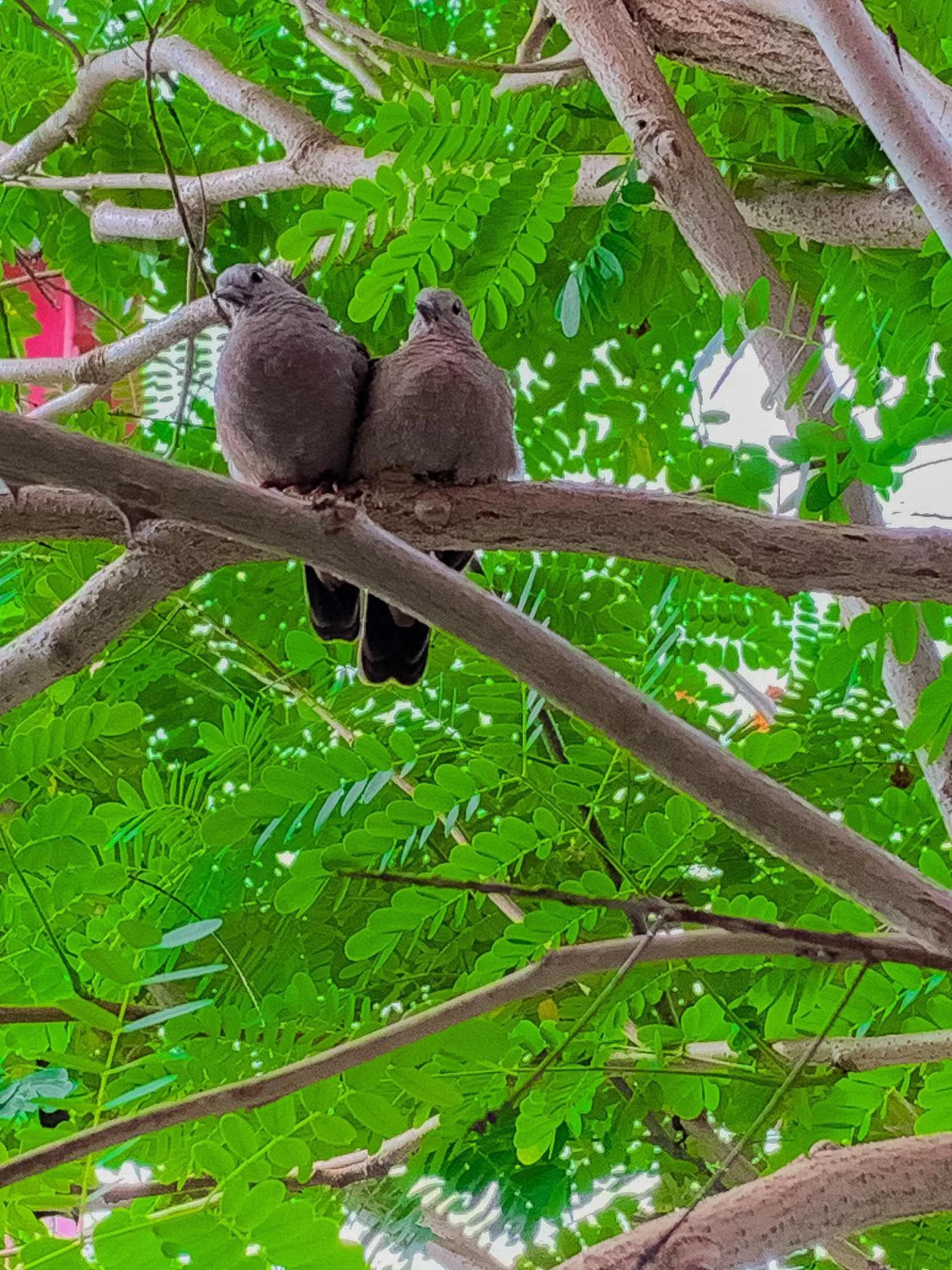 Natural landscape in Pousada Verde Villas