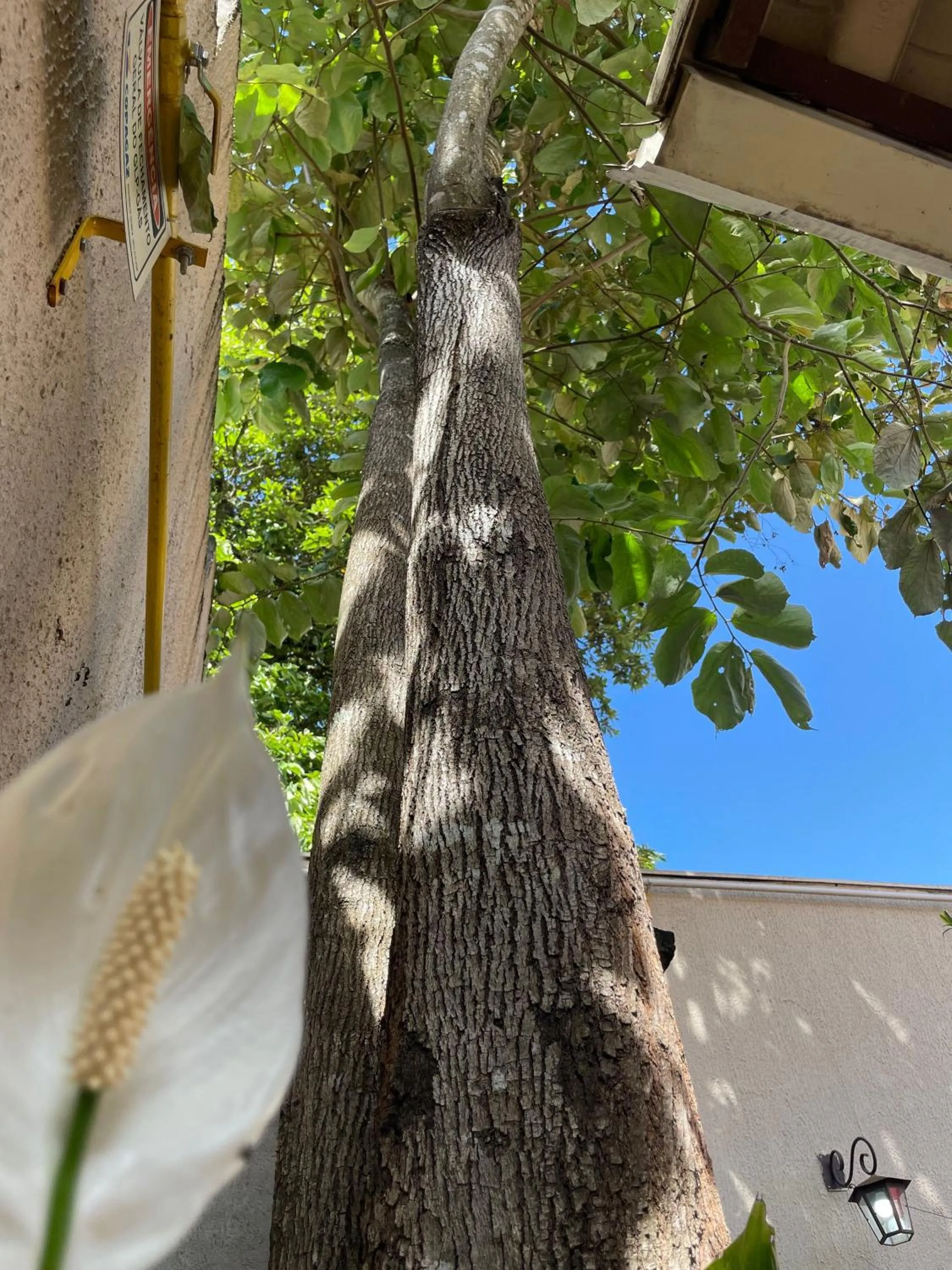 Natural landscape in Pousada Verde Villas