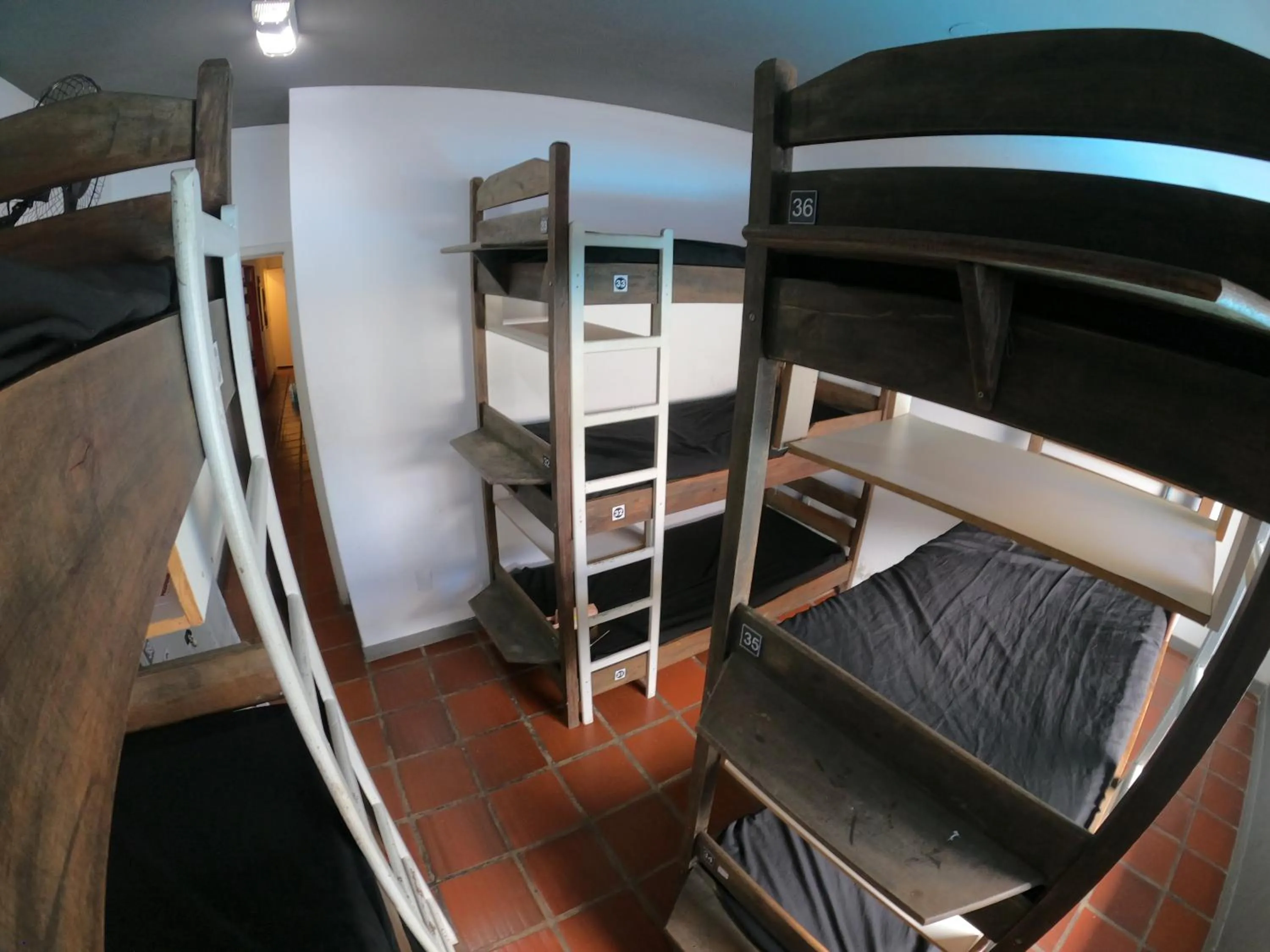 bunk bed, Bed in World Hostel - Canasvieiras
