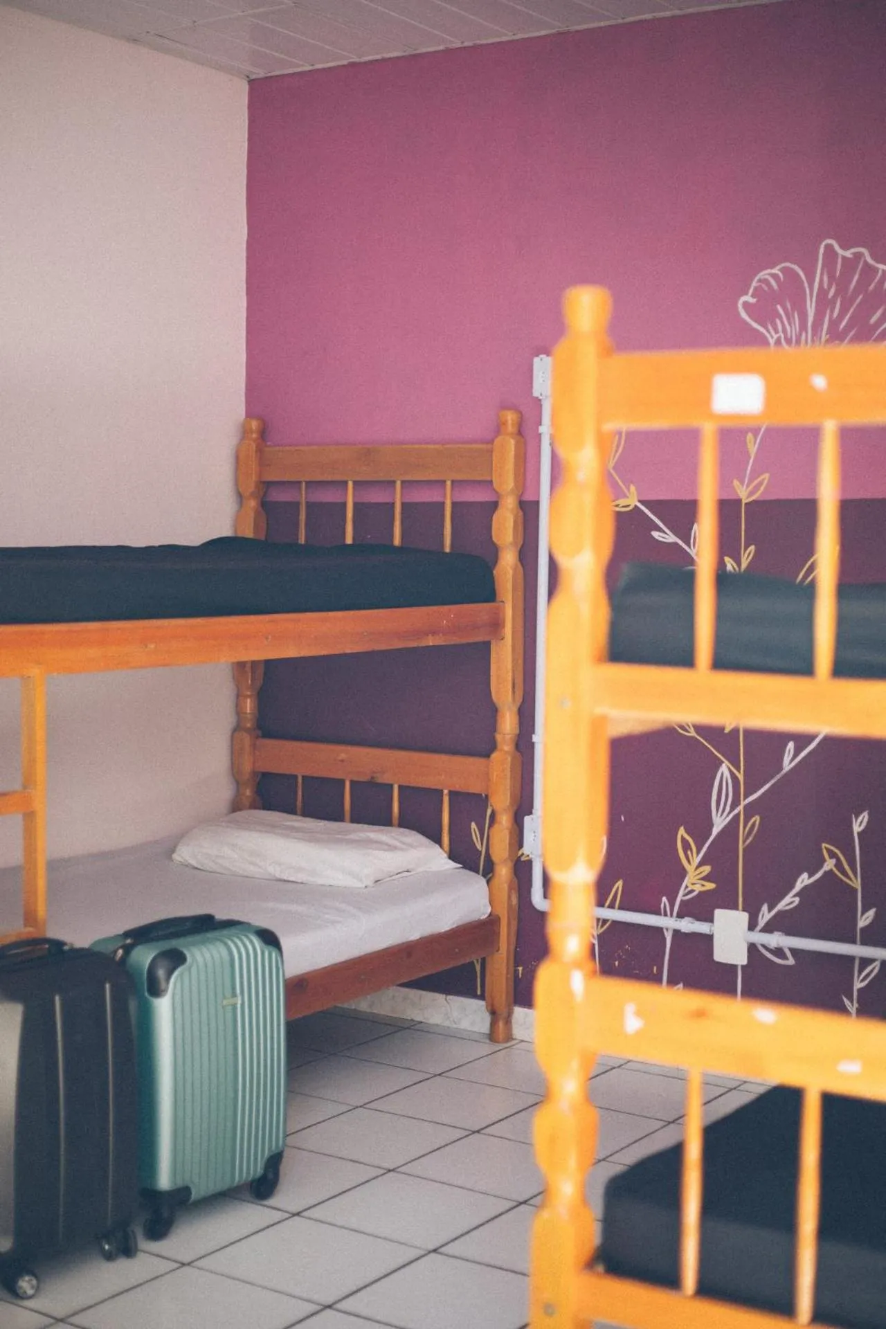 bunk bed, Bed in World Hostel - Canasvieiras