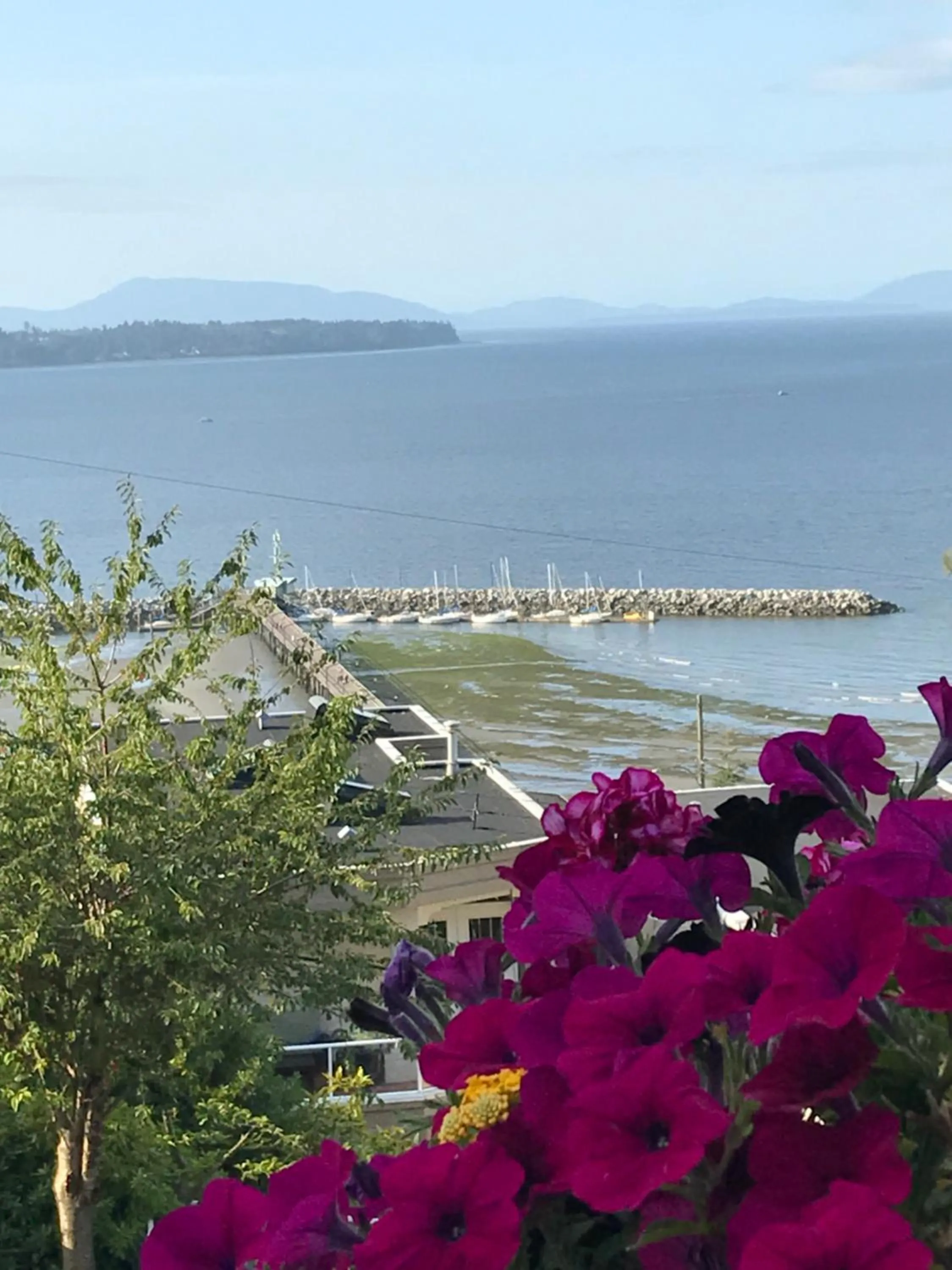 Patio in Donna's Bed & Breakfast
