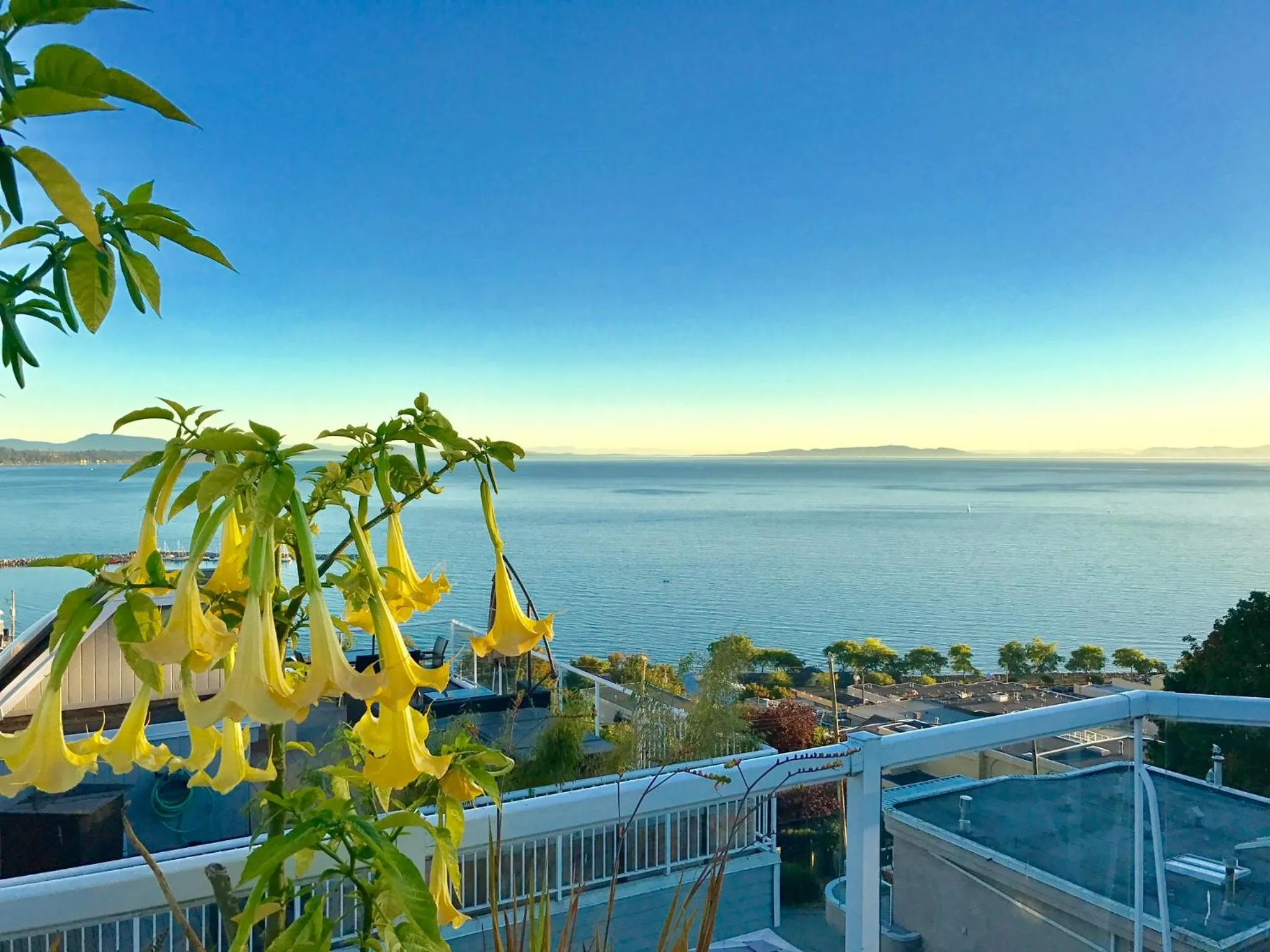 Patio in Donna's Bed & Breakfast
