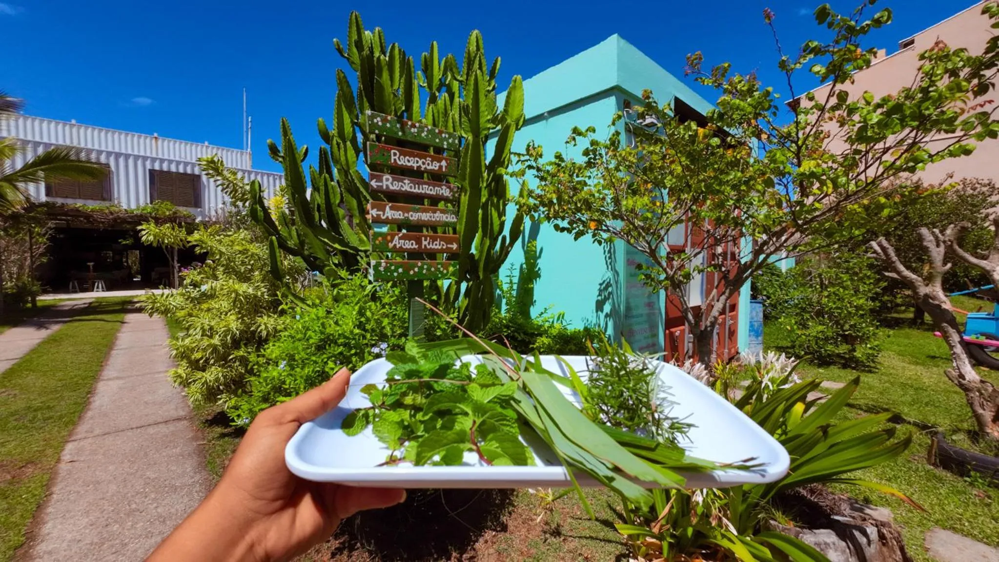 Container Eco Suítes