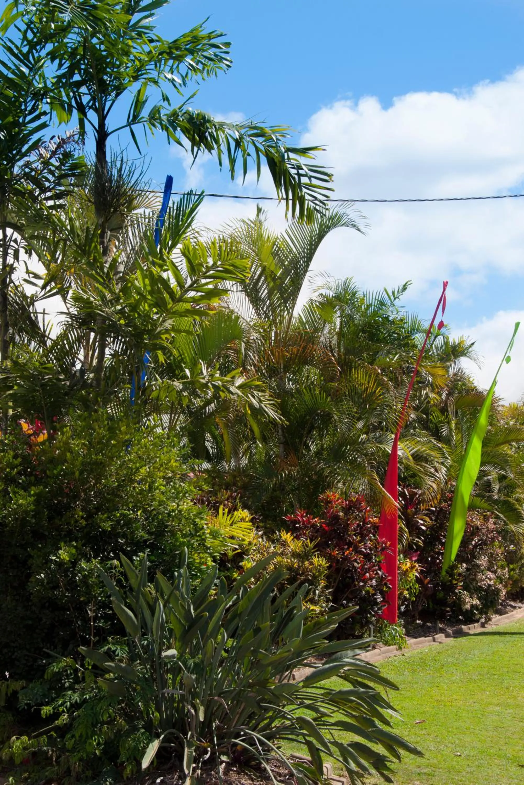 Garden in Jackaroo Motel