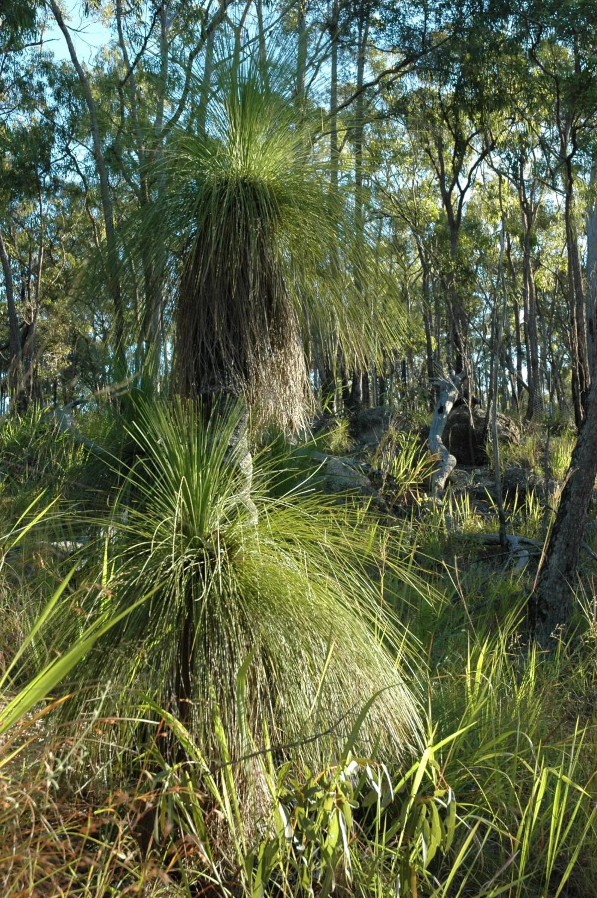 Natural landscape in Jackaroo Motel