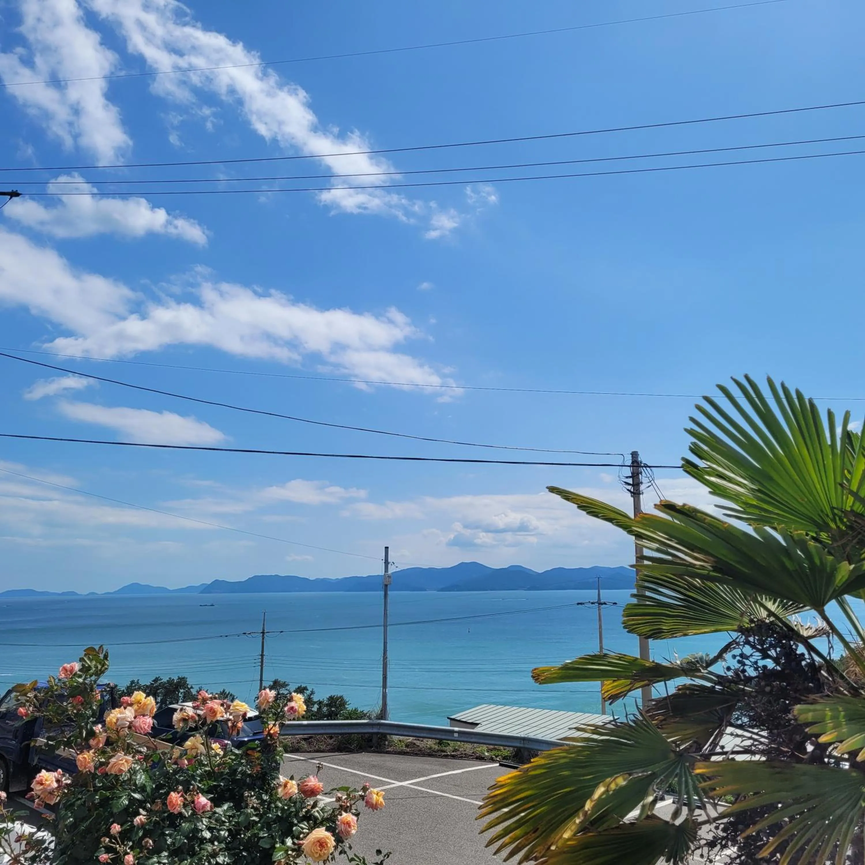 Inner courtyard view in Soulmate Pension