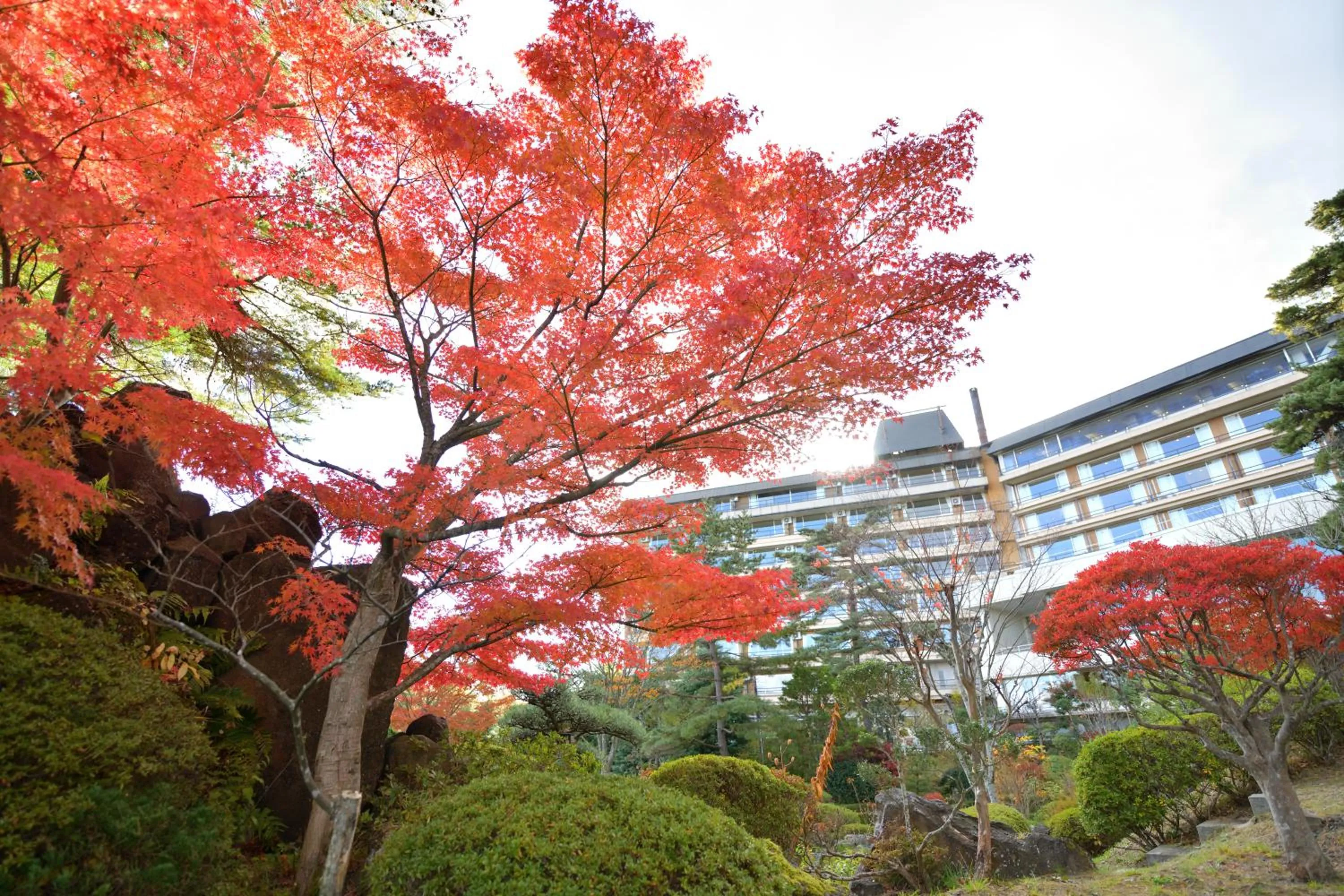 Property building in Hotel Matsushima Taikanso