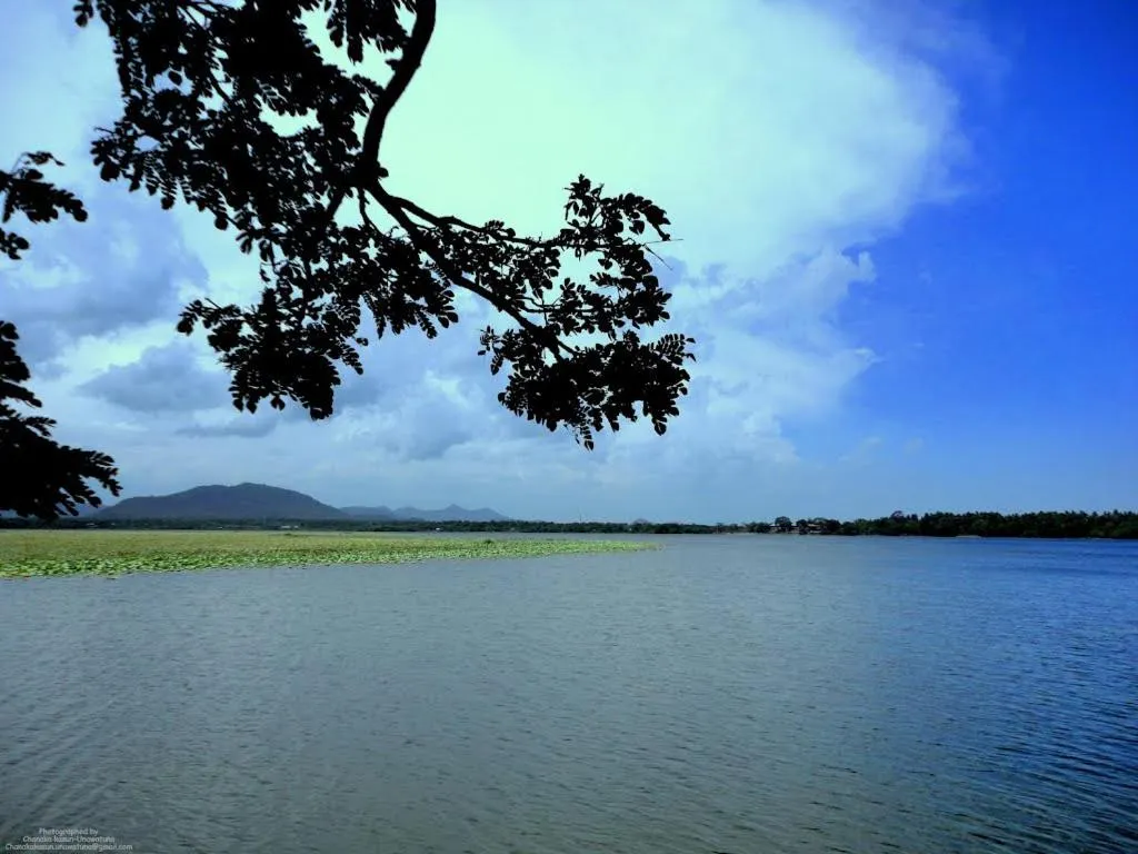 Location in Hotel Camorich