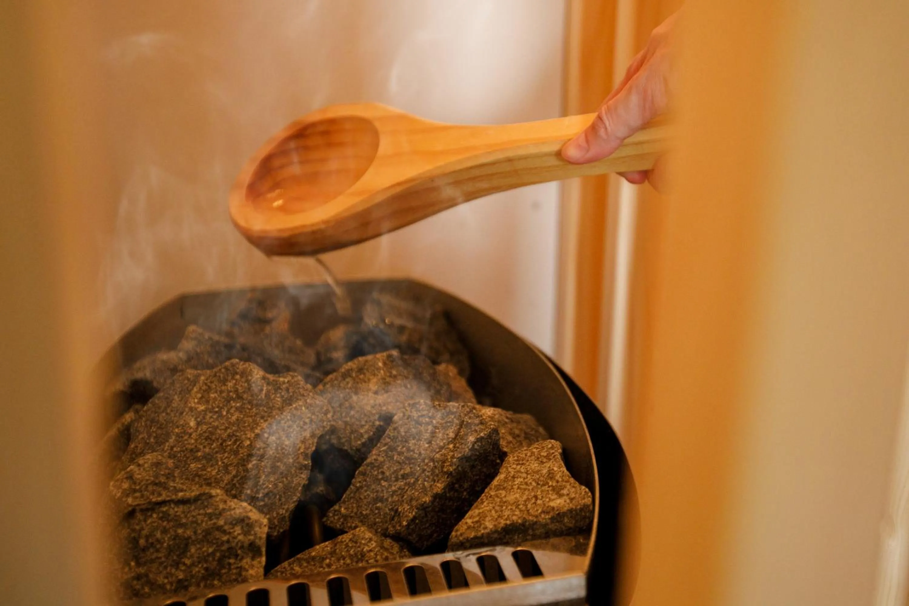 Sauna in Hita Onsen Kizantei Hotel