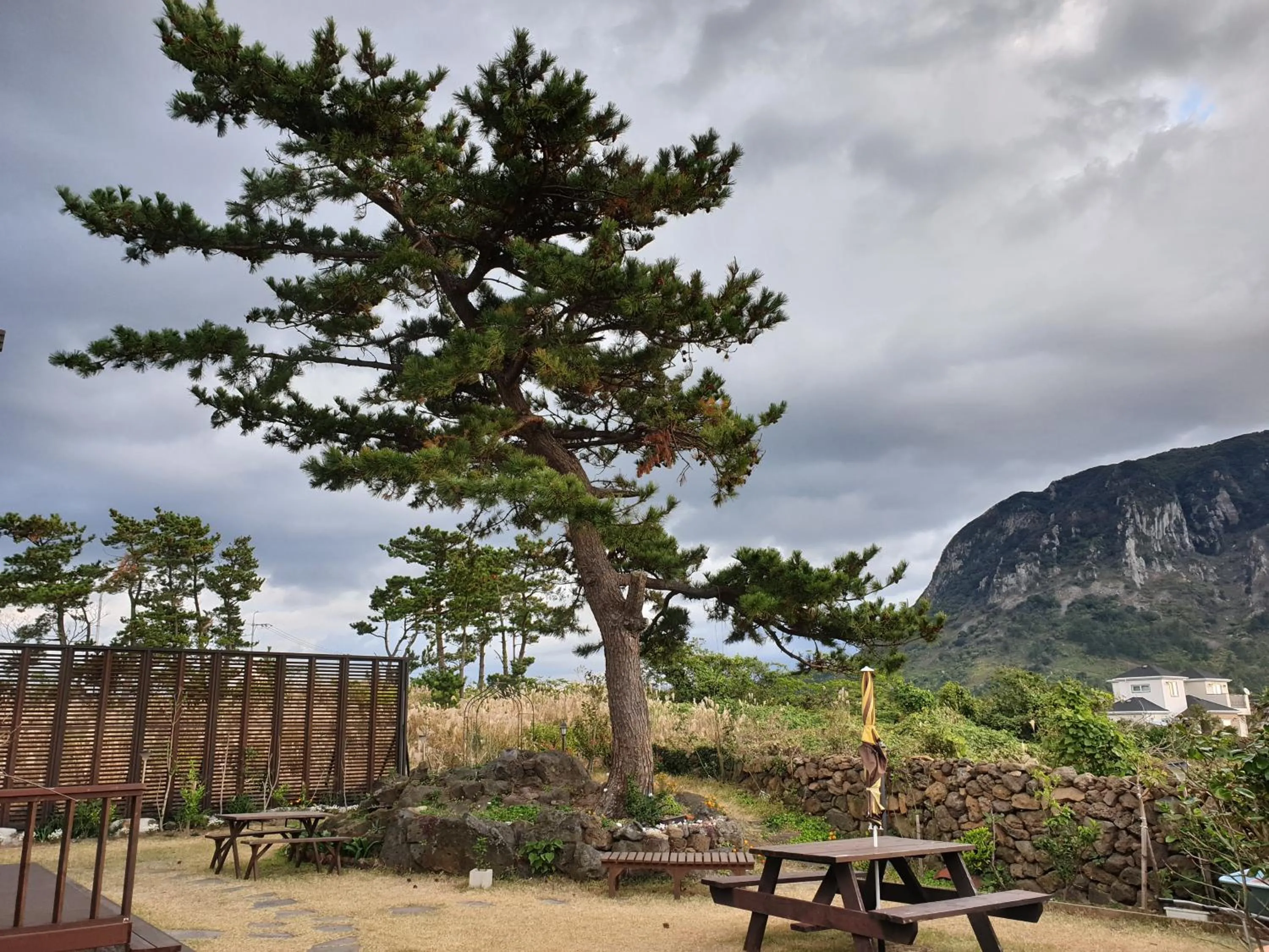 Garden in Wind Jeju Cafe & Pension