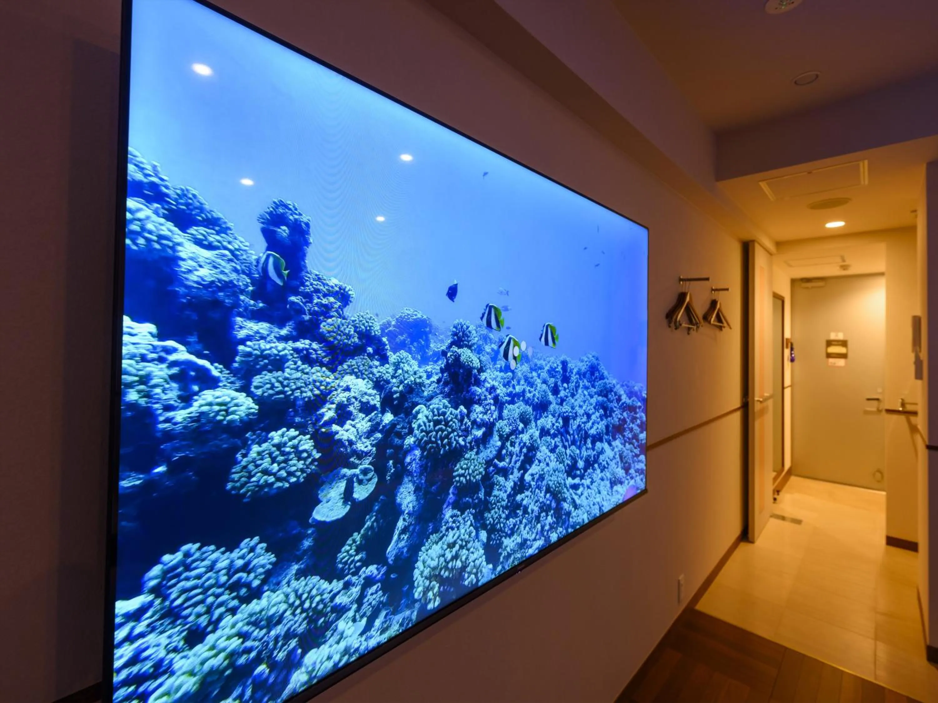 TV and multimedia in Hotel Sunset Terrace