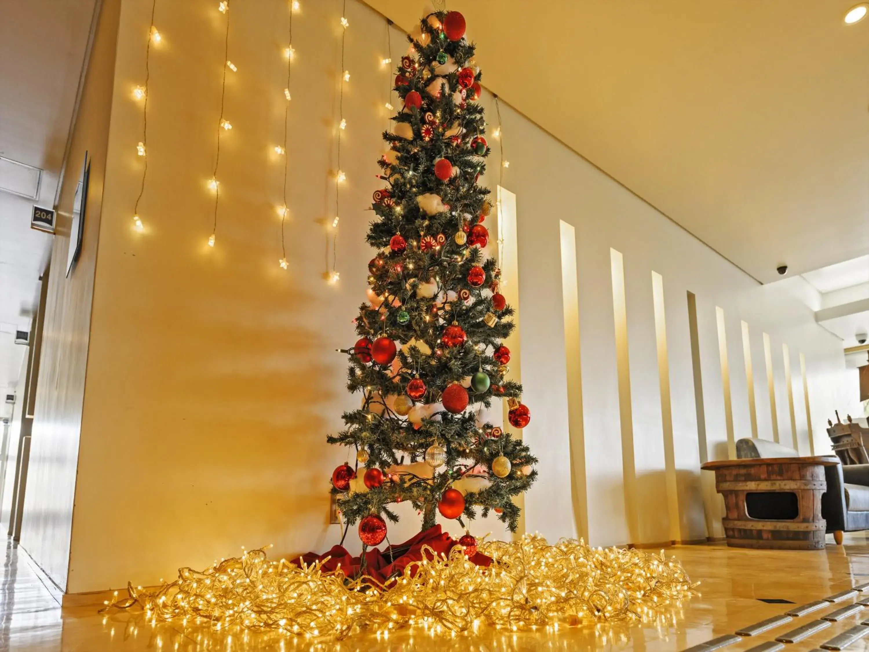 Lobby or reception in Hotel Sunset Terrace Lobby or reception in Hotel Sunset Terrace