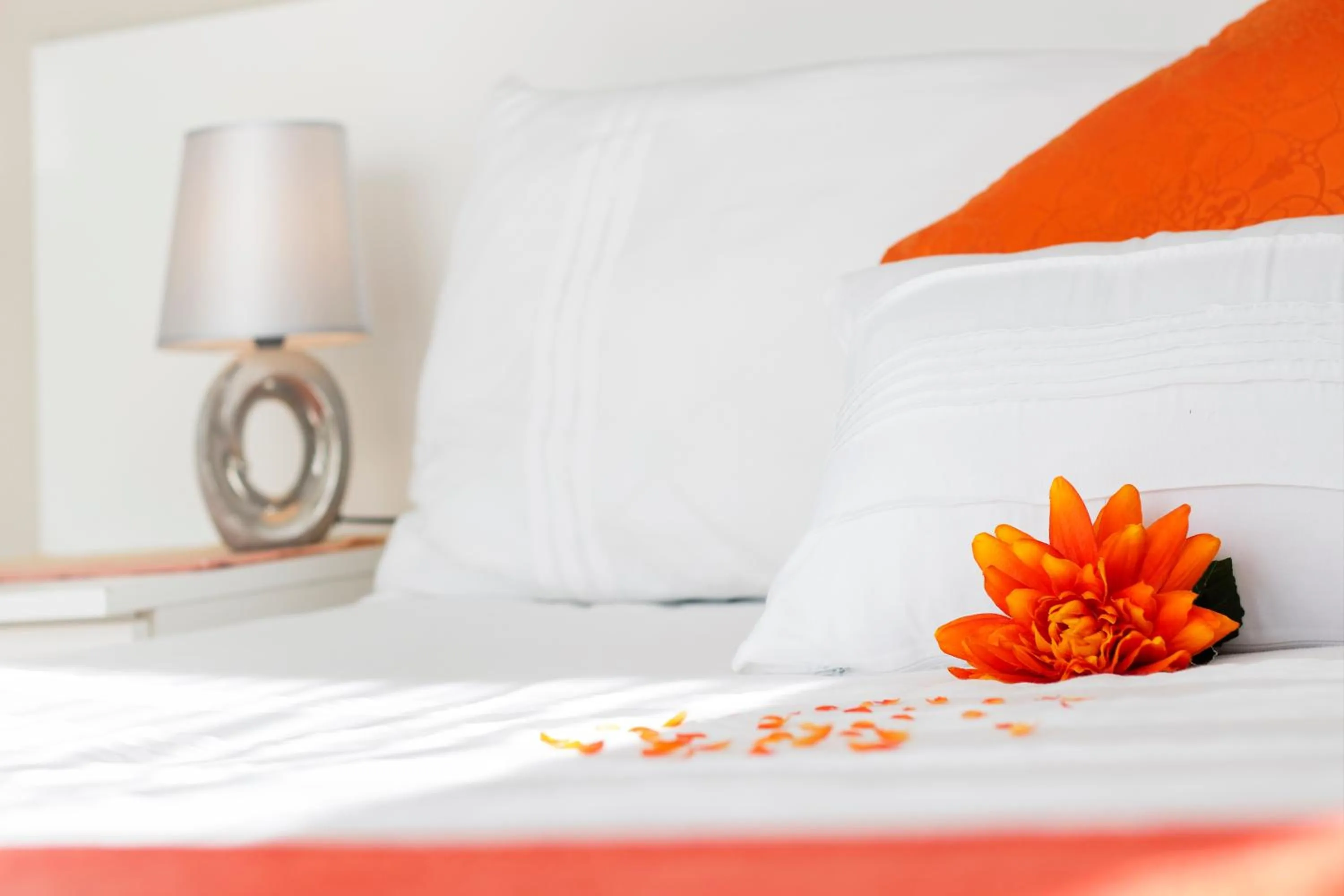 Decorative detail, Bed in King Guest Lodge