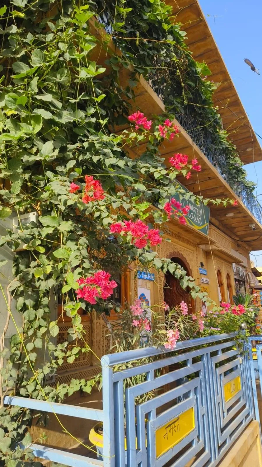 Property building in Jaisalmer Hostel Crowd