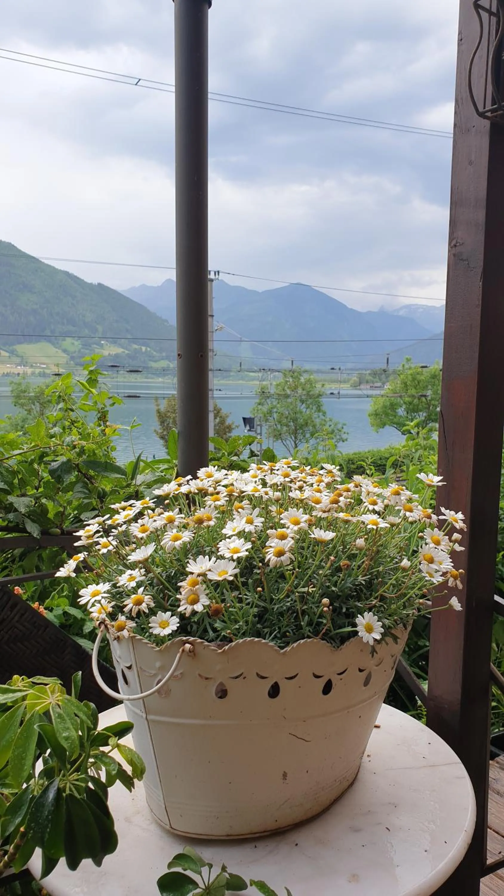 Appartement Harrer