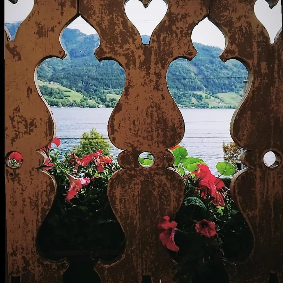 Lake view in Appartement Harrer