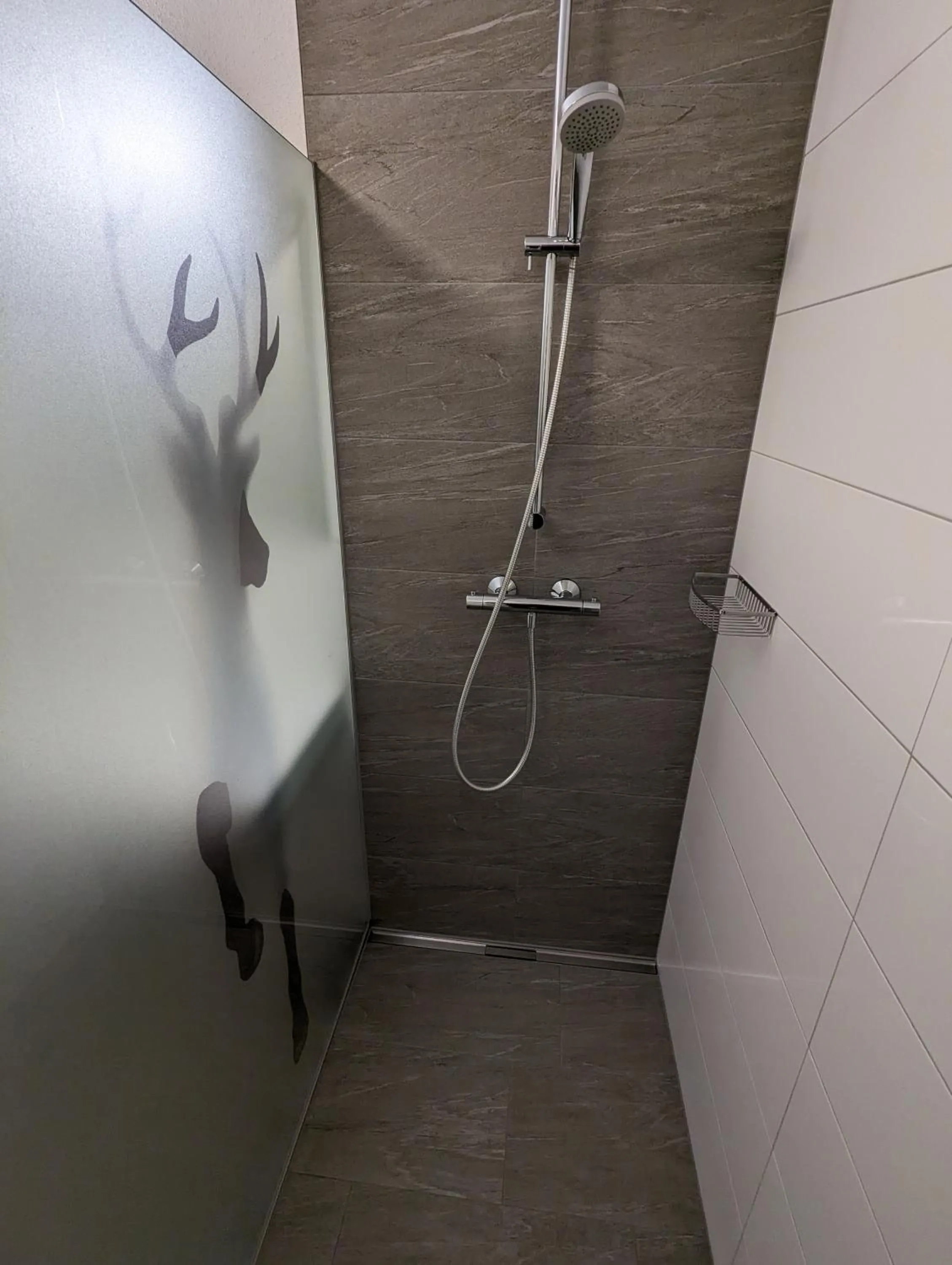 Shower in Appartements Gotthardt