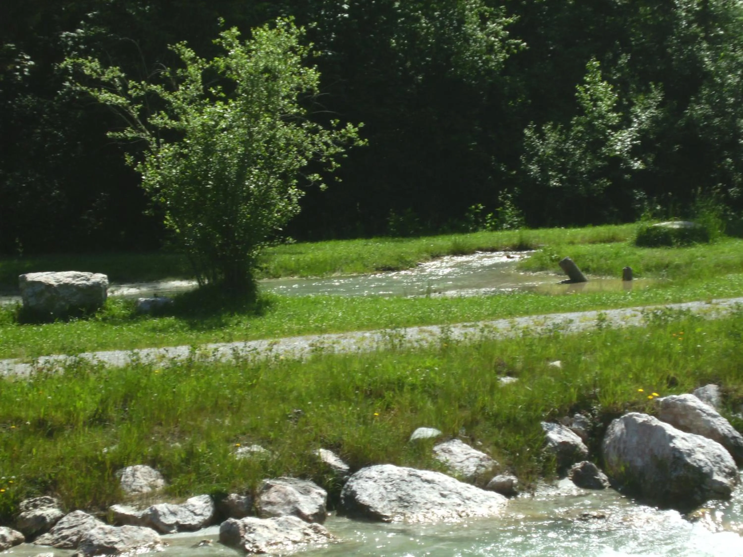 Natural landscape in Appartements Gotthardt