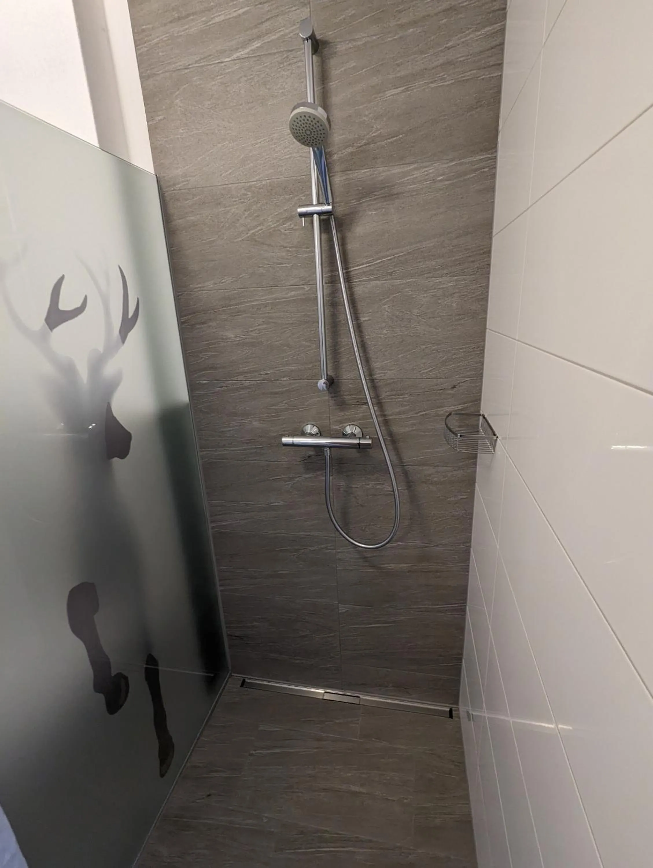 Shower in Appartements Gotthardt