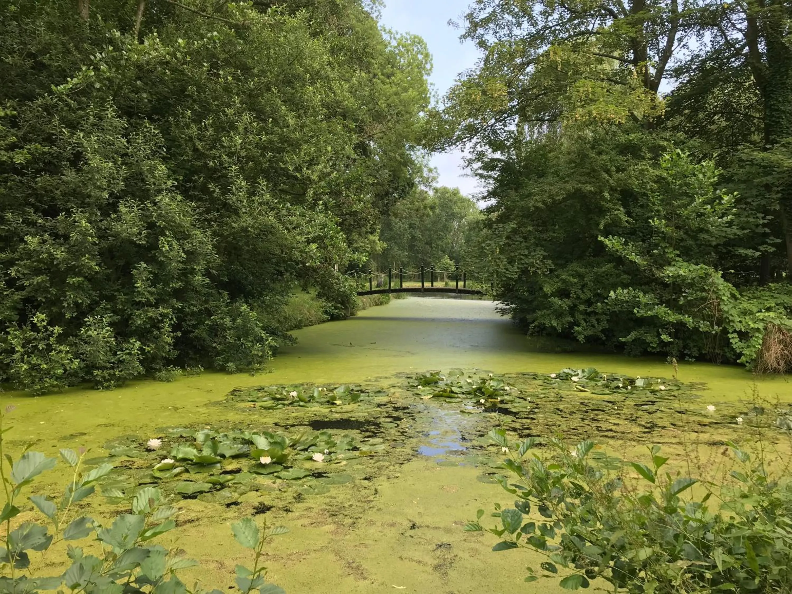 Natural landscape in Klein Zeeduin