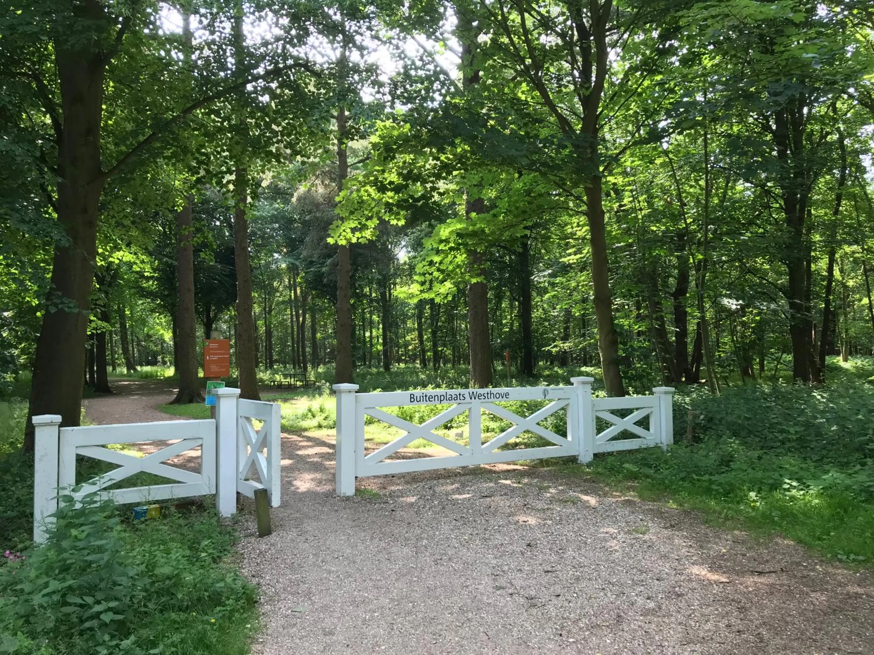 Natural landscape in Klein Zeeduin