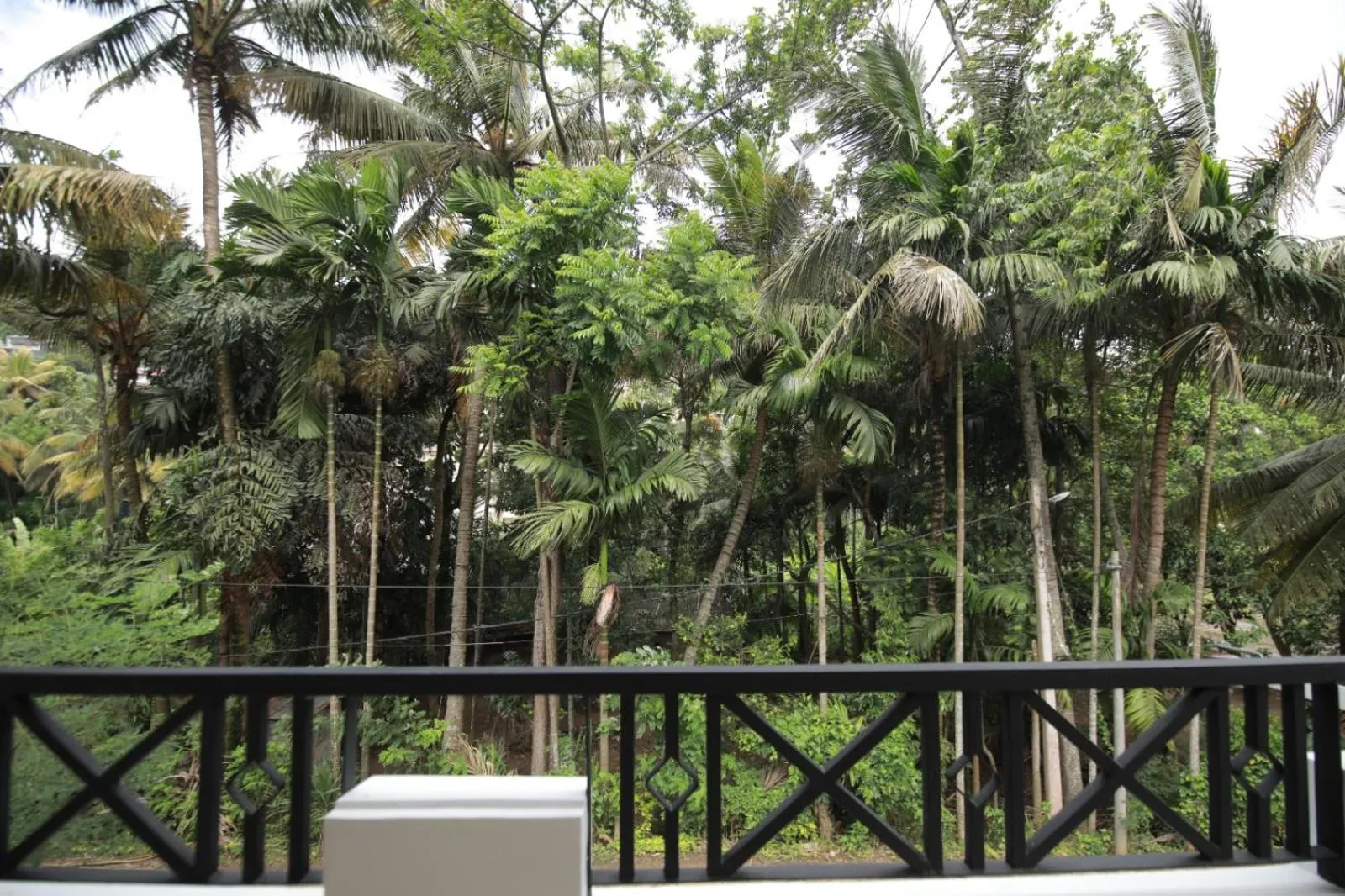 Renuka Inn