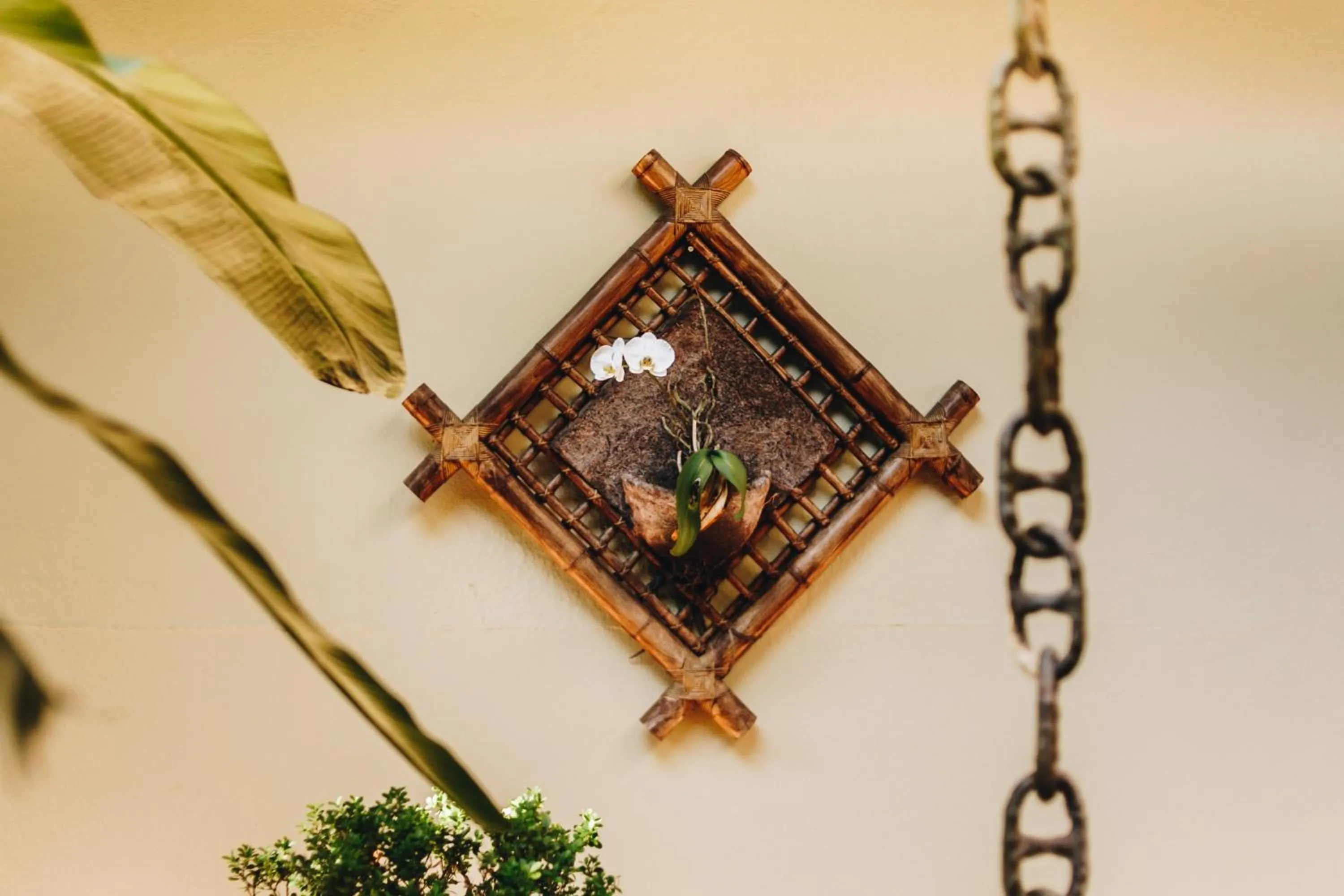 Garden in Hotel Fita Azul