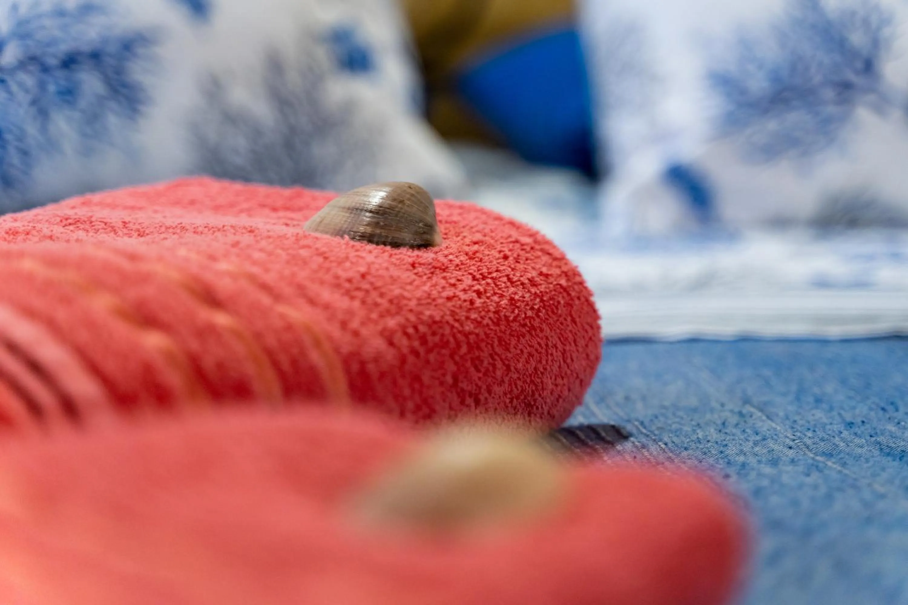 Bed in Affittacamere Shardana